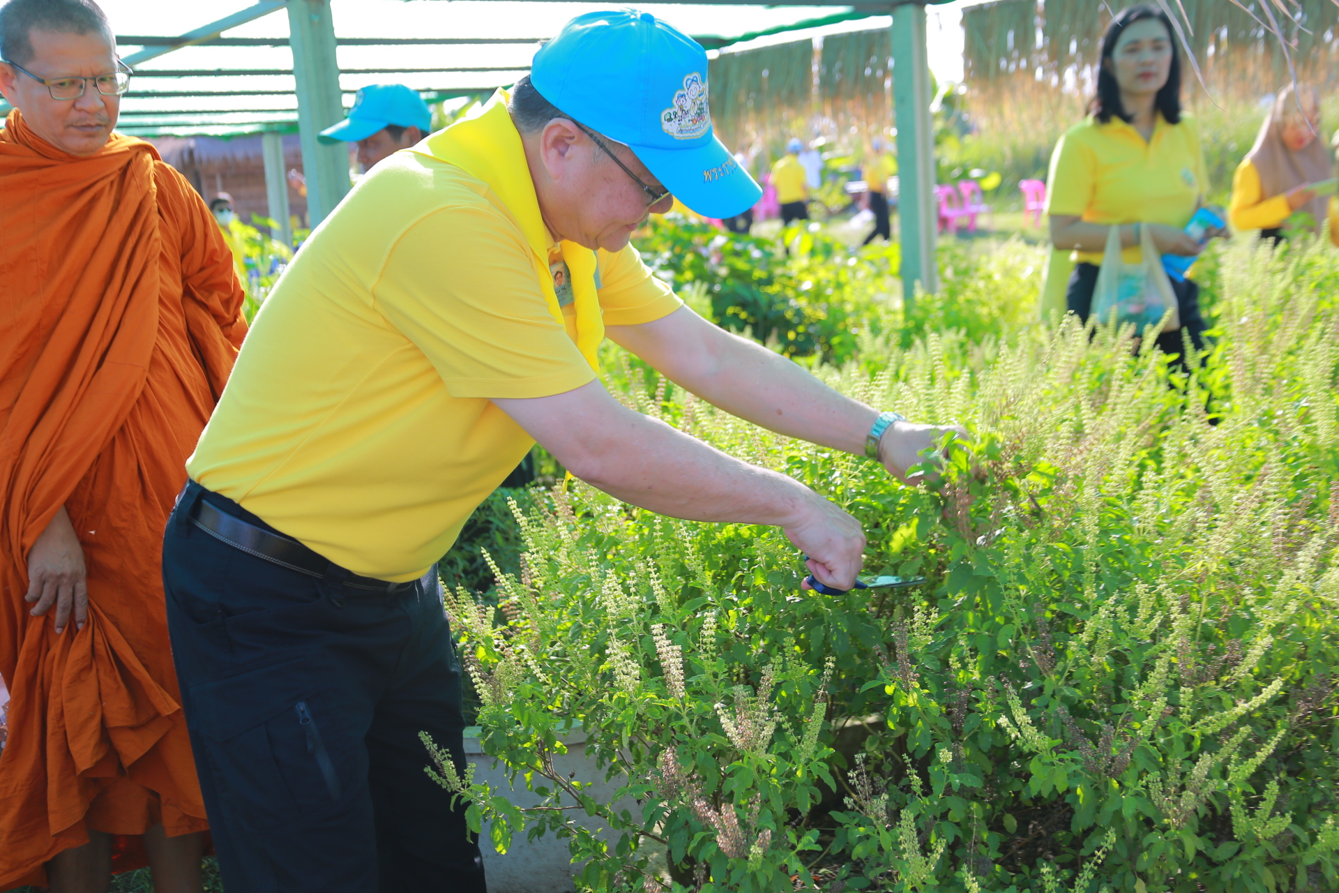 🌱พช.ฉะเชิงเทรา ดำเนินโครงการน้อมรำลึกและเทิดพระเกียรติคุณของพระบาทสมเด็จพระบรมชนกาธิเบศรมหาภูมิพลอดุลยเดชมหาราช บรมนาถบพิตร ในงานวันดินโลก World Soil day ปี ๒๕๖๗