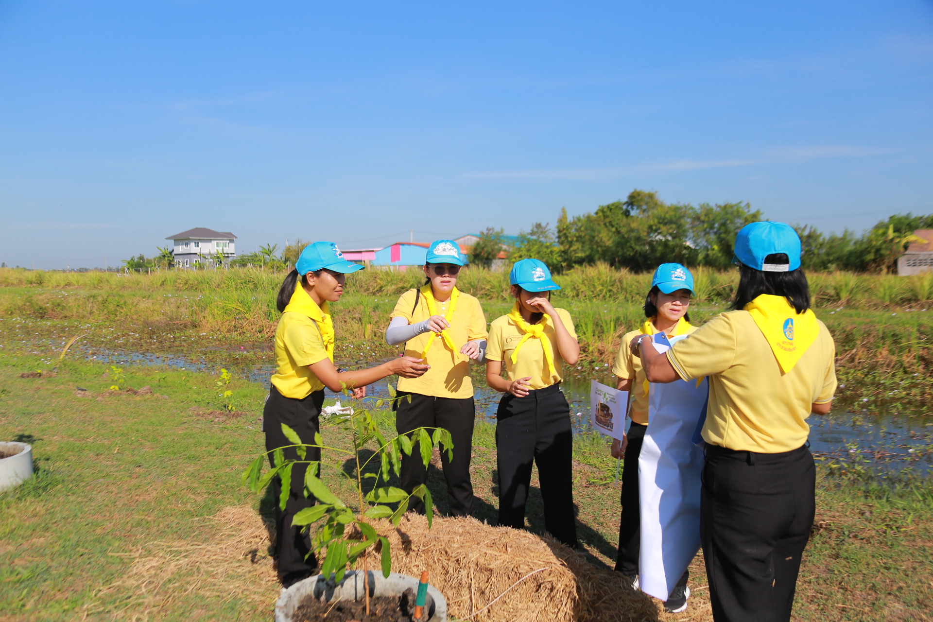 🌱พช.ฉะเชิงเทรา ดำเนินโครงการน้อมรำลึกและเทิดพระเกียรติคุณของพระบาทสมเด็จพระบรมชนกาธิเบศรมหาภูมิพลอดุลยเดชมหาราช บรมนาถบพิตร ในงานวันดินโลก World Soil day ปี ๒๕๖๗
