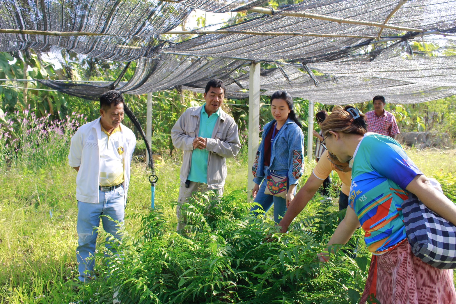พช.ฉะเชิงเทรา ลงพื้นที่ศึกษาและพัฒนาชุมชน “อำเภอท่าตะเกียบ”
