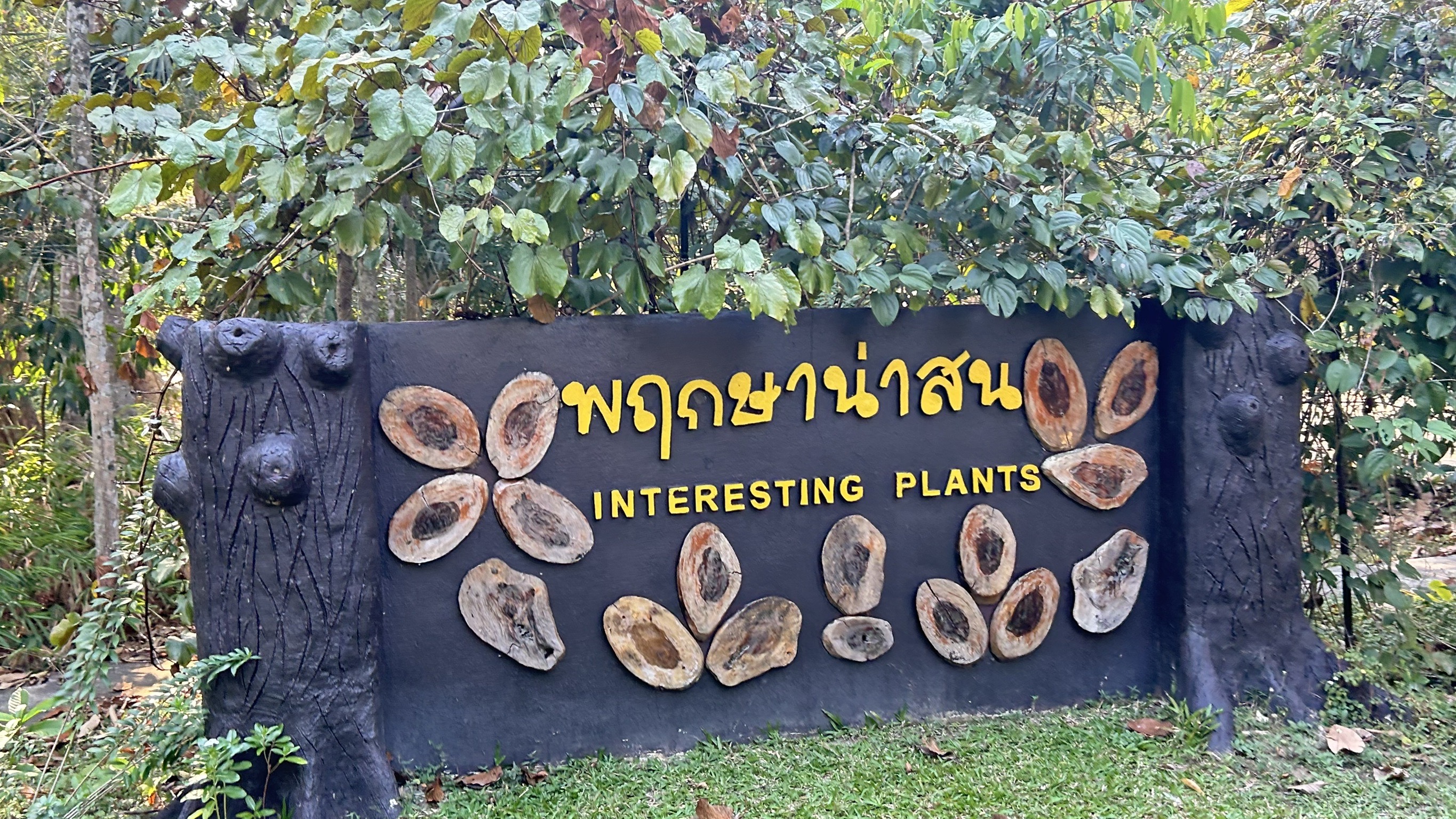 📢 พช. ฉะเชิงเทรา ร่วมประชุมคณะอนุกรรมการส่งเสริมเกษตรกรรมแบบยั่งยืน ภายใต้หลักปรัชญาของเศรษฐกิจพอเพียง