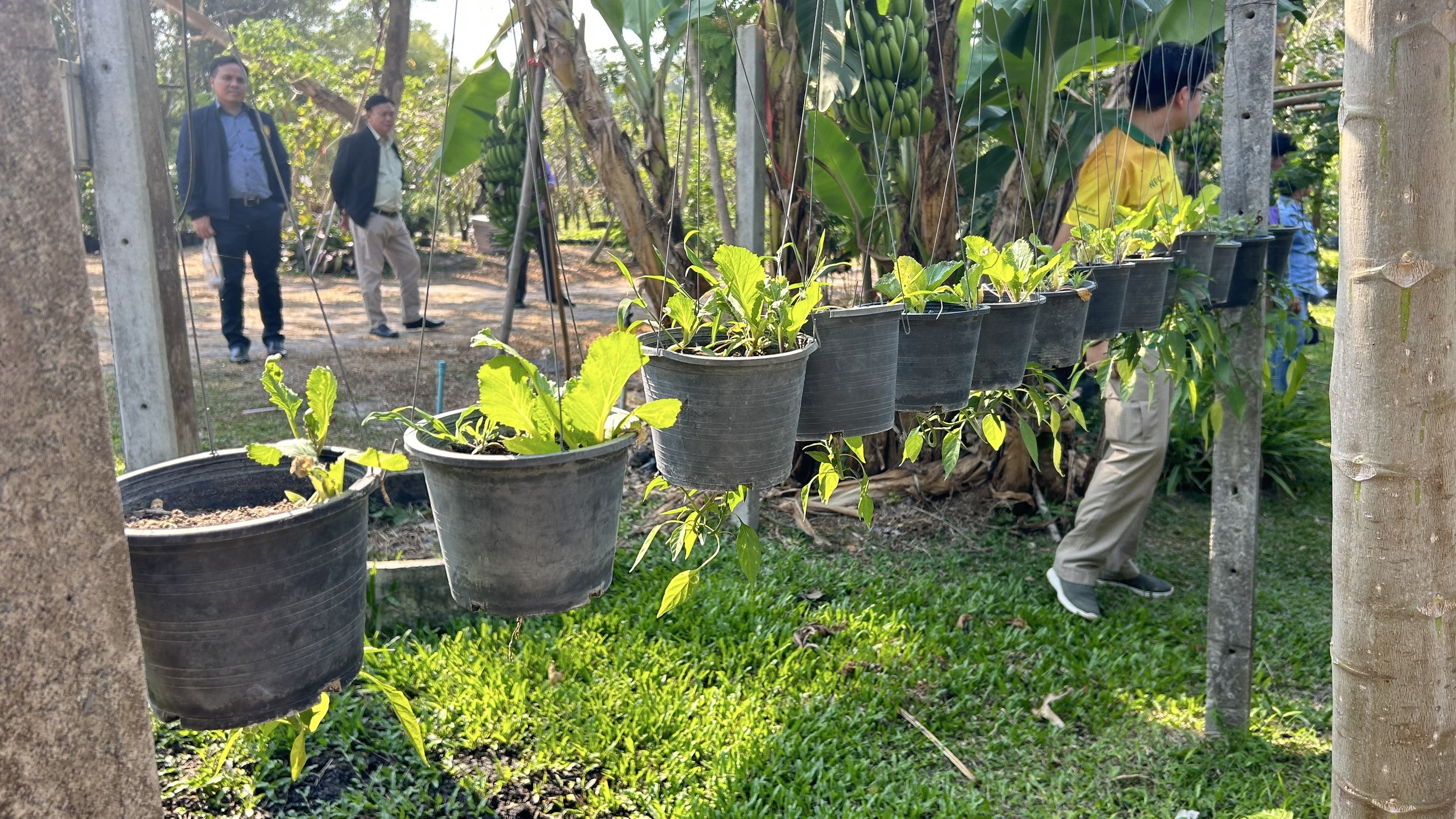 📢 พช. ฉะเชิงเทรา ร่วมประชุมคณะอนุกรรมการส่งเสริมเกษตรกรรมแบบยั่งยืน ภายใต้หลักปรัชญาของเศรษฐกิจพอเพียง
