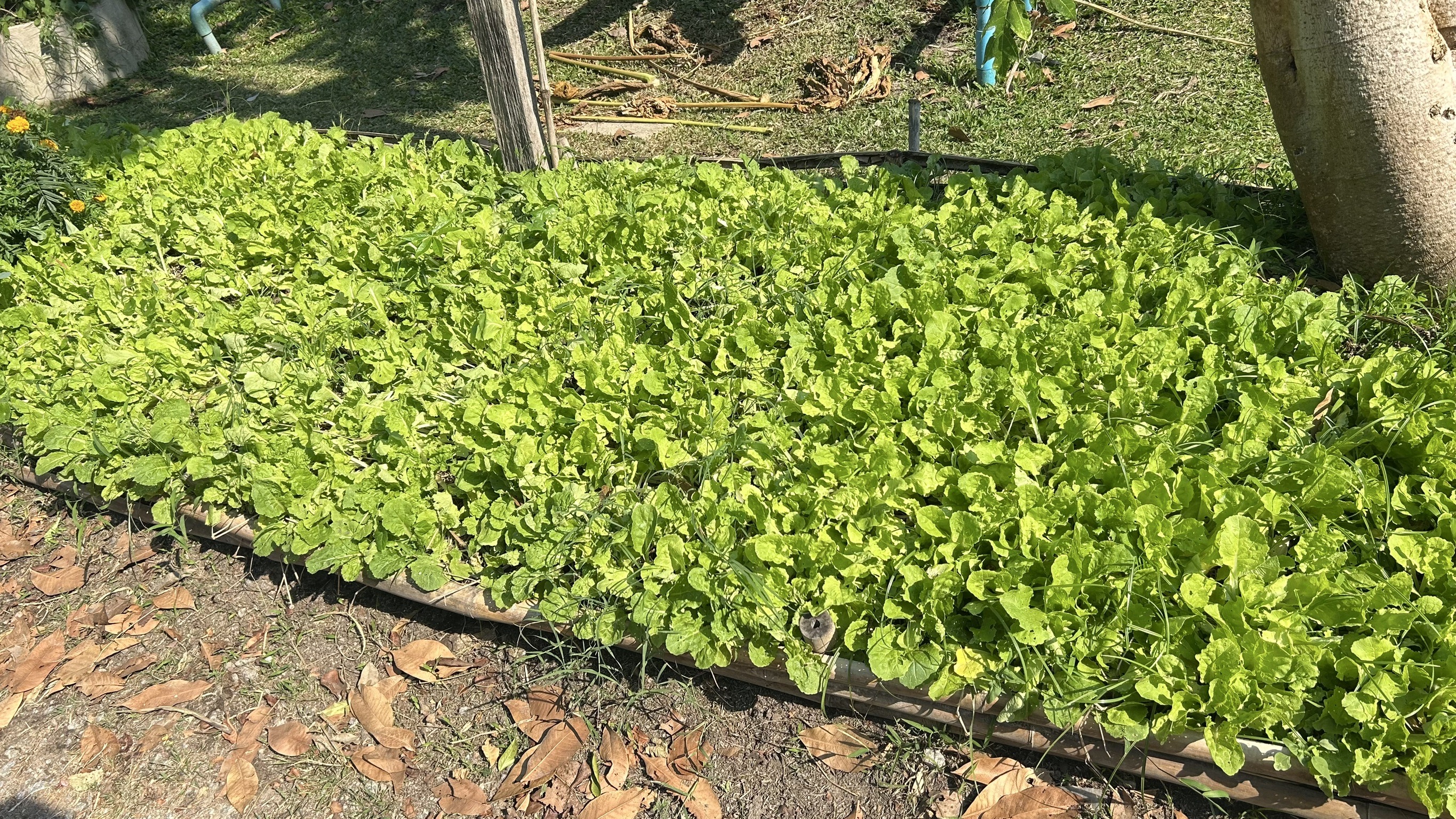 📢 พช. ฉะเชิงเทรา ร่วมประชุมคณะอนุกรรมการส่งเสริมเกษตรกรรมแบบยั่งยืน ภายใต้หลักปรัชญาของเศรษฐกิจพอเพียง