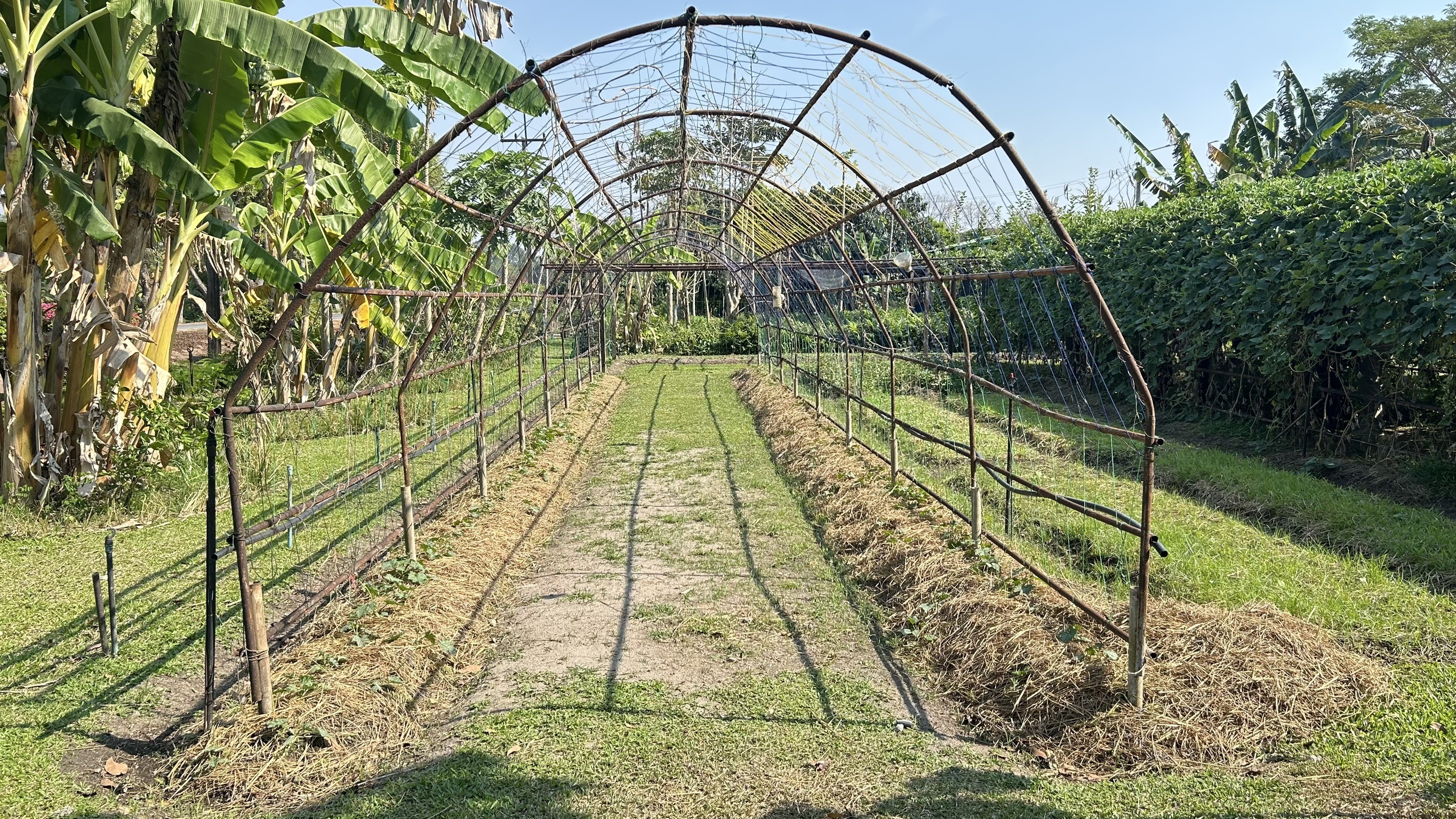 📢 พช. ฉะเชิงเทรา ร่วมประชุมคณะอนุกรรมการส่งเสริมเกษตรกรรมแบบยั่งยืน ภายใต้หลักปรัชญาของเศรษฐกิจพอเพียง