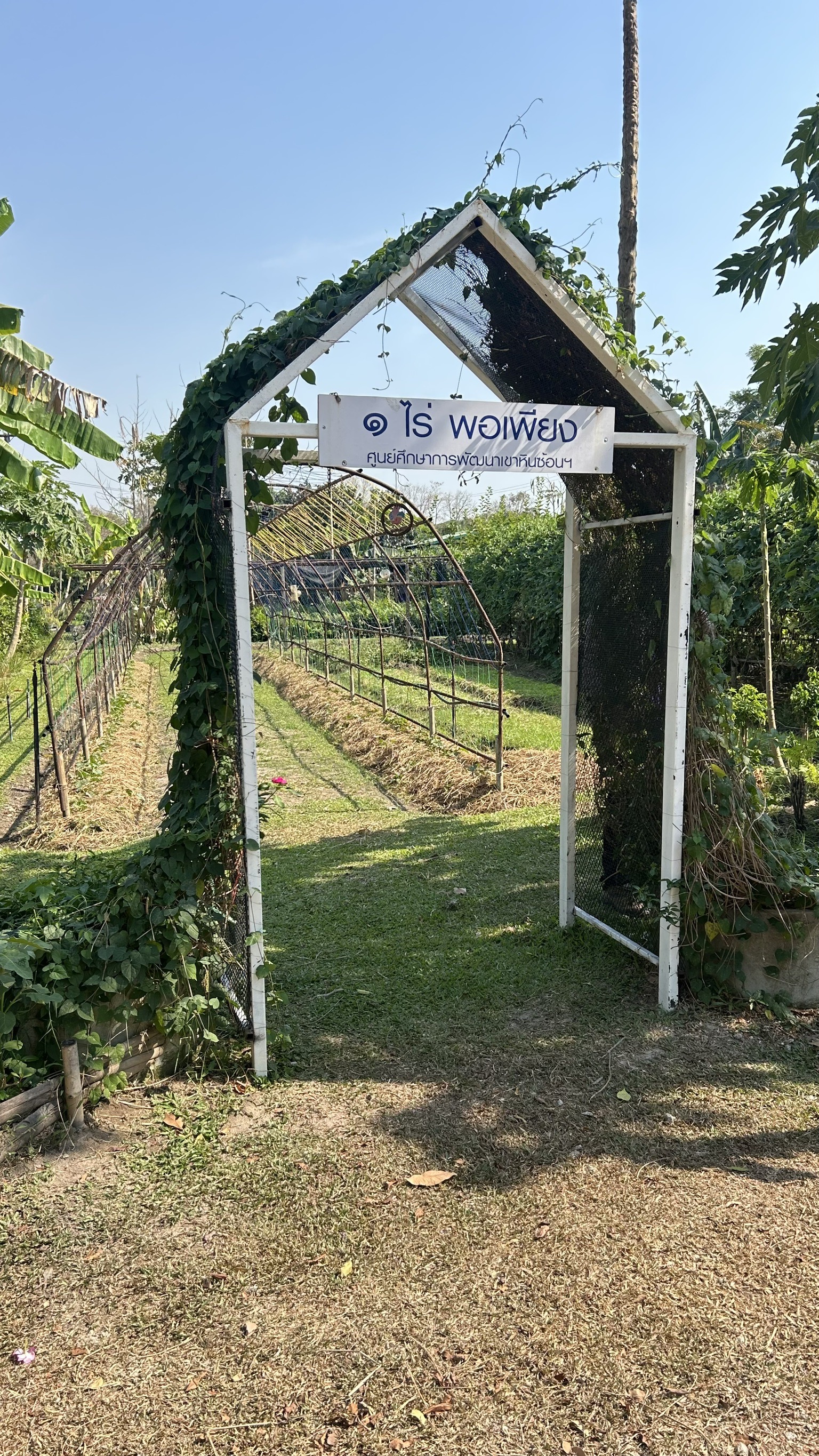 📢 พช. ฉะเชิงเทรา ร่วมประชุมคณะอนุกรรมการส่งเสริมเกษตรกรรมแบบยั่งยืน ภายใต้หลักปรัชญาของเศรษฐกิจพอเพียง