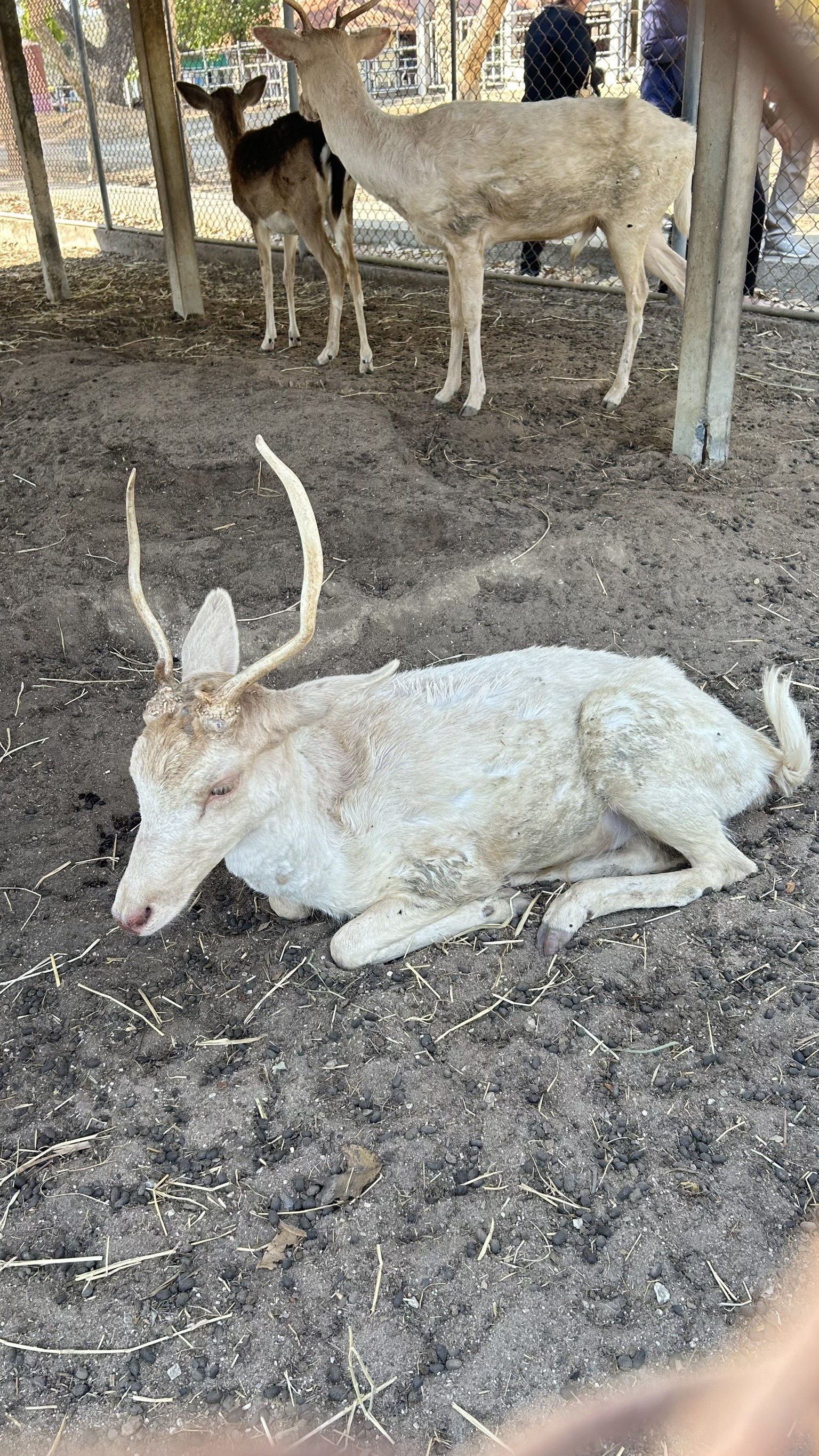 📢 พช. ฉะเชิงเทรา ร่วมประชุมคณะอนุกรรมการส่งเสริมเกษตรกรรมแบบยั่งยืน ภายใต้หลักปรัชญาของเศรษฐกิจพอเพียง
