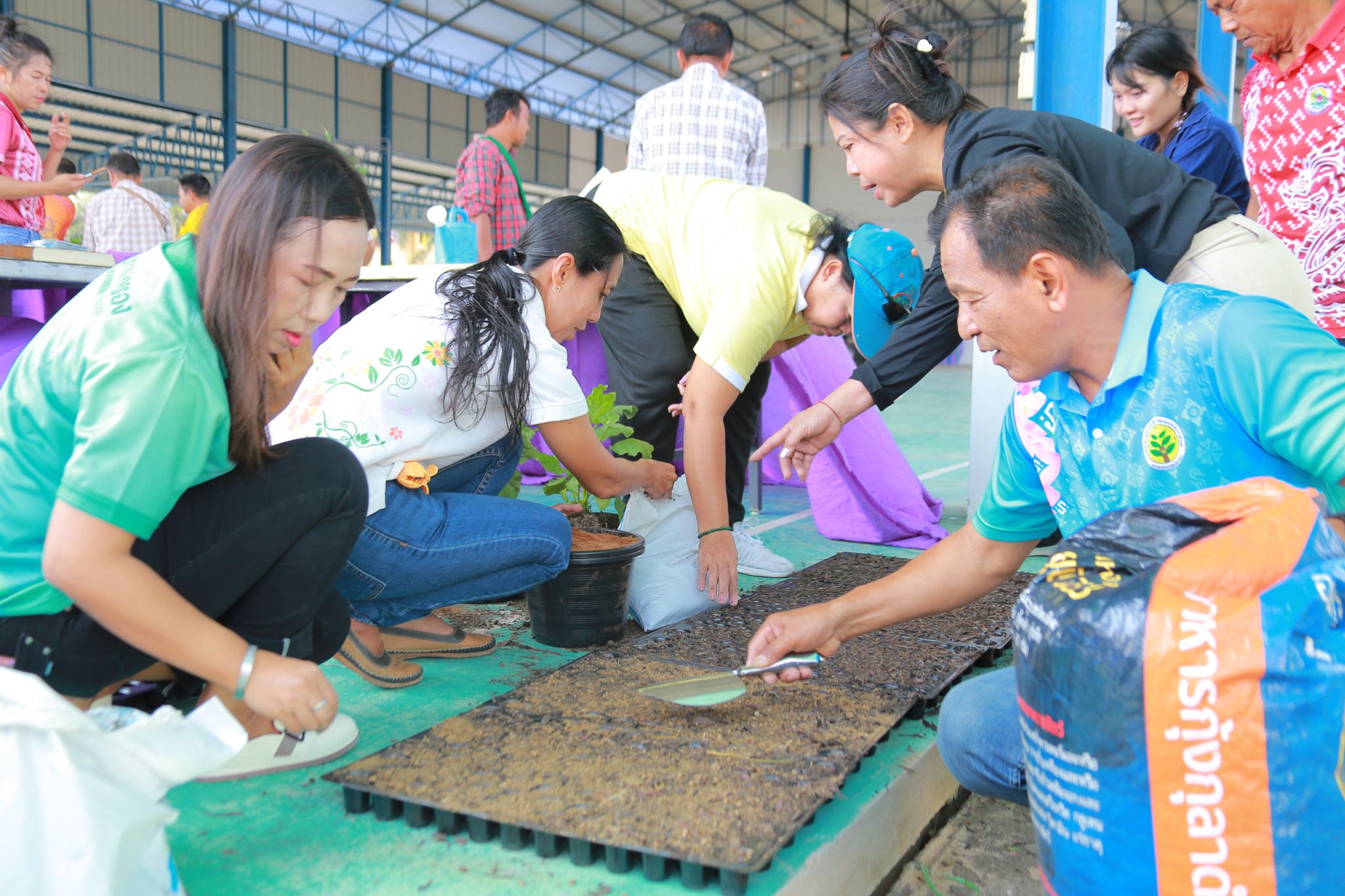“พลังผักปลุกชีวิต สู่ชุมชนหนองจอกที่ยั่งยืน”  พช.แปดริ้ว ดำเนินโครงการการจัดทำสารสนเทศตำบลต้นแบบฯ กิจกรรมที่2