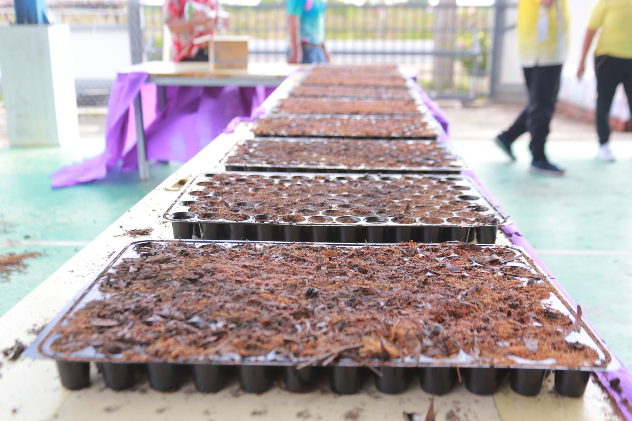 “พลังผักปลุกชีวิต สู่ชุมชนหนองจอกที่ยั่งยืน”  พช.แปดริ้ว ดำเนินโครงการการจัดทำสารสนเทศตำบลต้นแบบฯ กิจกรรมที่2