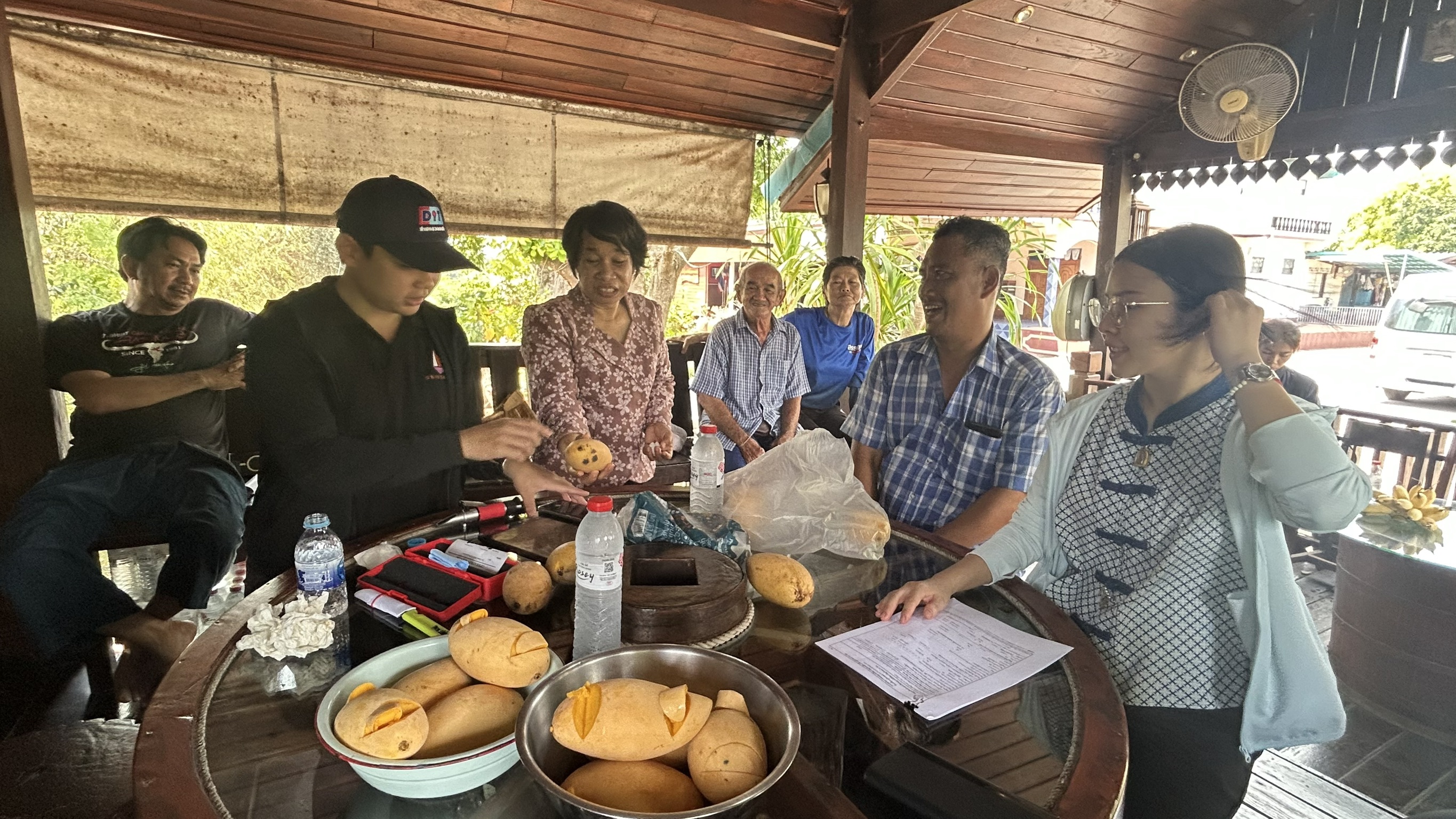 🎡พช.ฉะเชิงเทรา ร่วมลงพื้นที่ตรวจประเมินตามระบบควบคุมคุณภาพสินค้าสิ่งบ่งชี้ทางภูมิศาสตร์ “มะม่วงน้ำดอกไม้สีทองบางคล้า”