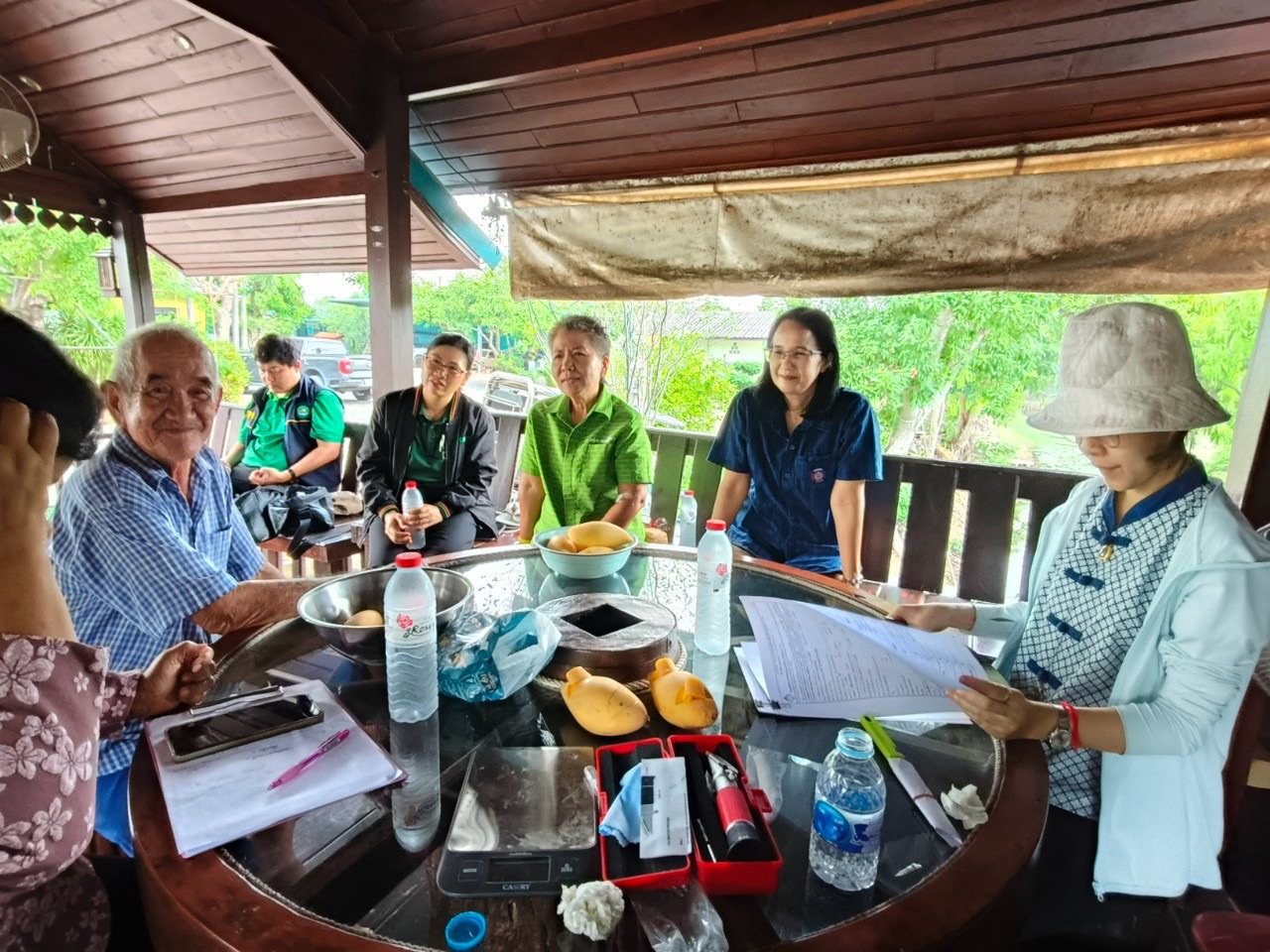 🎡พช.ฉะเชิงเทรา ร่วมลงพื้นที่ตรวจประเมินตามระบบควบคุมคุณภาพสินค้าสิ่งบ่งชี้ทางภูมิศาสตร์ “มะม่วงน้ำดอกไม้สีทองบางคล้า”