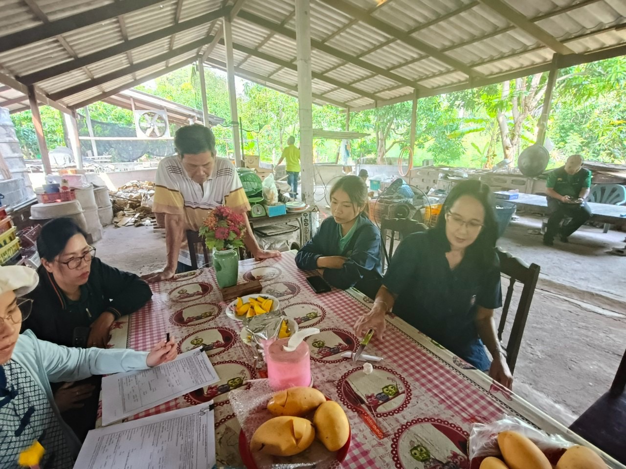 🎡พช.ฉะเชิงเทรา ร่วมลงพื้นที่ตรวจประเมินตามระบบควบคุมคุณภาพสินค้าสิ่งบ่งชี้ทางภูมิศาสตร์ “มะม่วงน้ำดอกไม้สีทองบางคล้า”