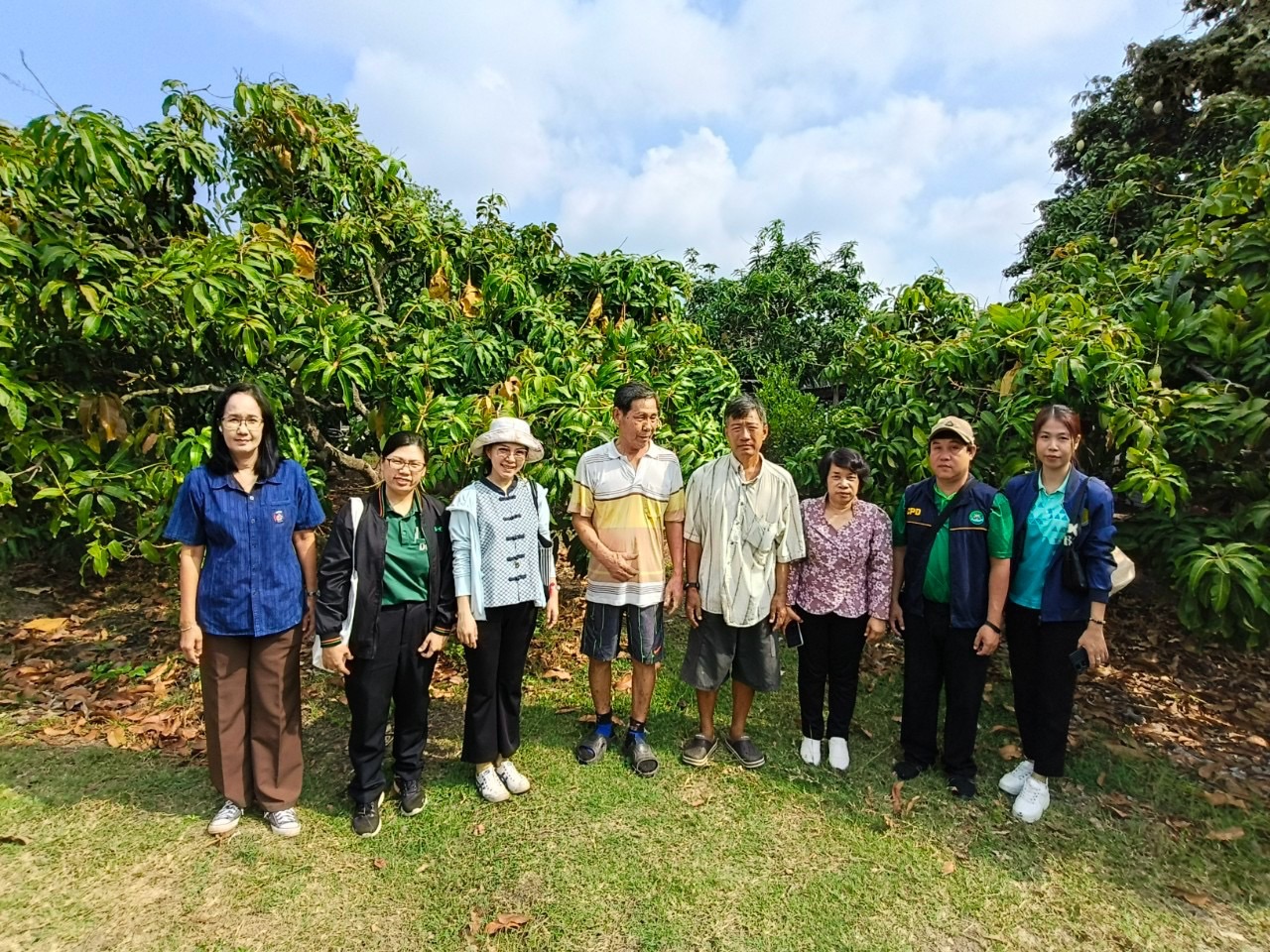 🎡พช.ฉะเชิงเทรา ร่วมลงพื้นที่ตรวจประเมินตามระบบควบคุมคุณภาพสินค้าสิ่งบ่งชี้ทางภูมิศาสตร์ “มะม่วงน้ำดอกไม้สีทองบางคล้า”