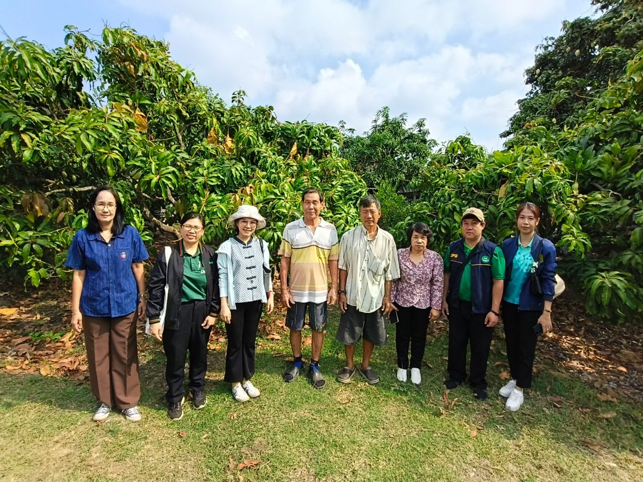 🎡พช.ฉะเชิงเทรา ร่วมลงพื้นที่ตรวจประเมินตามระบบควบคุมคุณภาพสินค้าสิ่งบ่งชี้ทางภูมิศาสตร์ “มะม่วงน้ำดอกไม้สีทองบางคล้า”