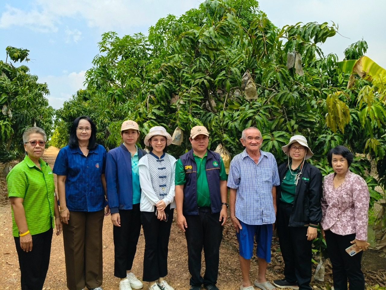 🎡พช.ฉะเชิงเทรา ร่วมลงพื้นที่ตรวจประเมินตามระบบควบคุมคุณภาพสินค้าสิ่งบ่งชี้ทางภูมิศาสตร์ “มะม่วงน้ำดอกไม้สีทองบางคล้า”