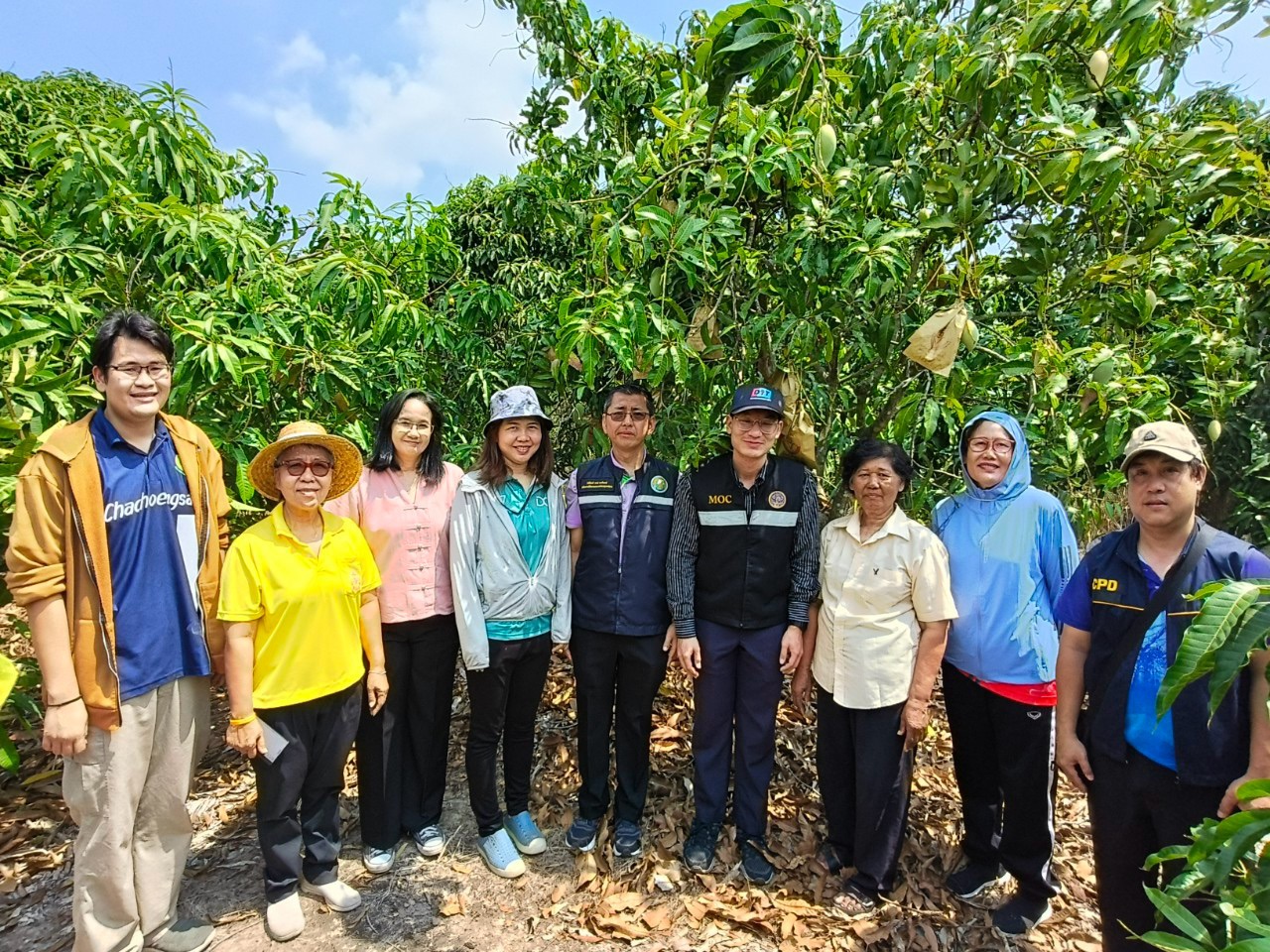 🎡พช.ฉะเชิงเทรา ร่วมลงพื้นที่ตรวจประเมินตามระบบควบคุมคุณภาพสินค้าสิ่งบ่งชี้ทางภูมิศาสตร์ “มะม่วงน้ำดอกไม้สีทองบางคล้า”