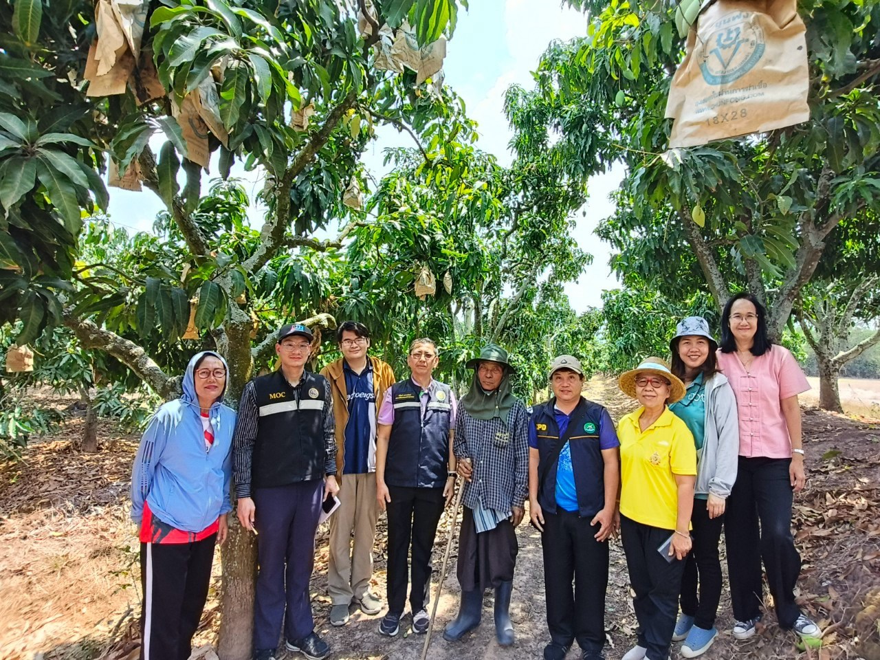 🎡พช.ฉะเชิงเทรา ร่วมลงพื้นที่ตรวจประเมินตามระบบควบคุมคุณภาพสินค้าสิ่งบ่งชี้ทางภูมิศาสตร์ “มะม่วงน้ำดอกไม้สีทองบางคล้า”