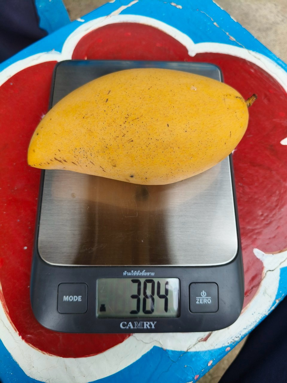 🎡พช.ฉะเชิงเทรา ร่วมลงพื้นที่ตรวจประเมินตามระบบควบคุมคุณภาพสินค้าสิ่งบ่งชี้ทางภูมิศาสตร์ “มะม่วงน้ำดอกไม้สีทองบางคล้า”