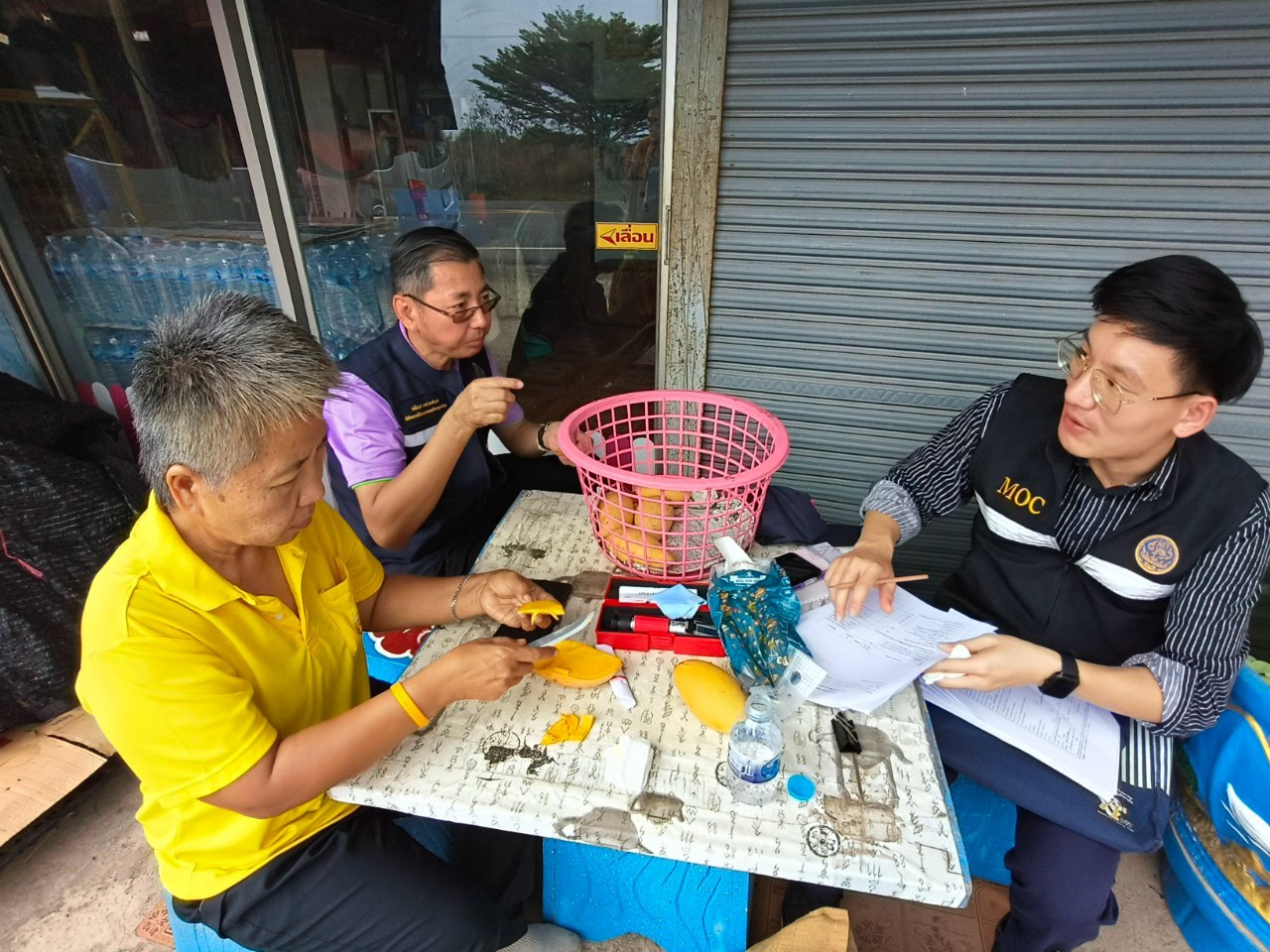 🎡พช.ฉะเชิงเทรา ร่วมลงพื้นที่ตรวจประเมินตามระบบควบคุมคุณภาพสินค้าสิ่งบ่งชี้ทางภูมิศาสตร์ “มะม่วงน้ำดอกไม้สีทองบางคล้า”