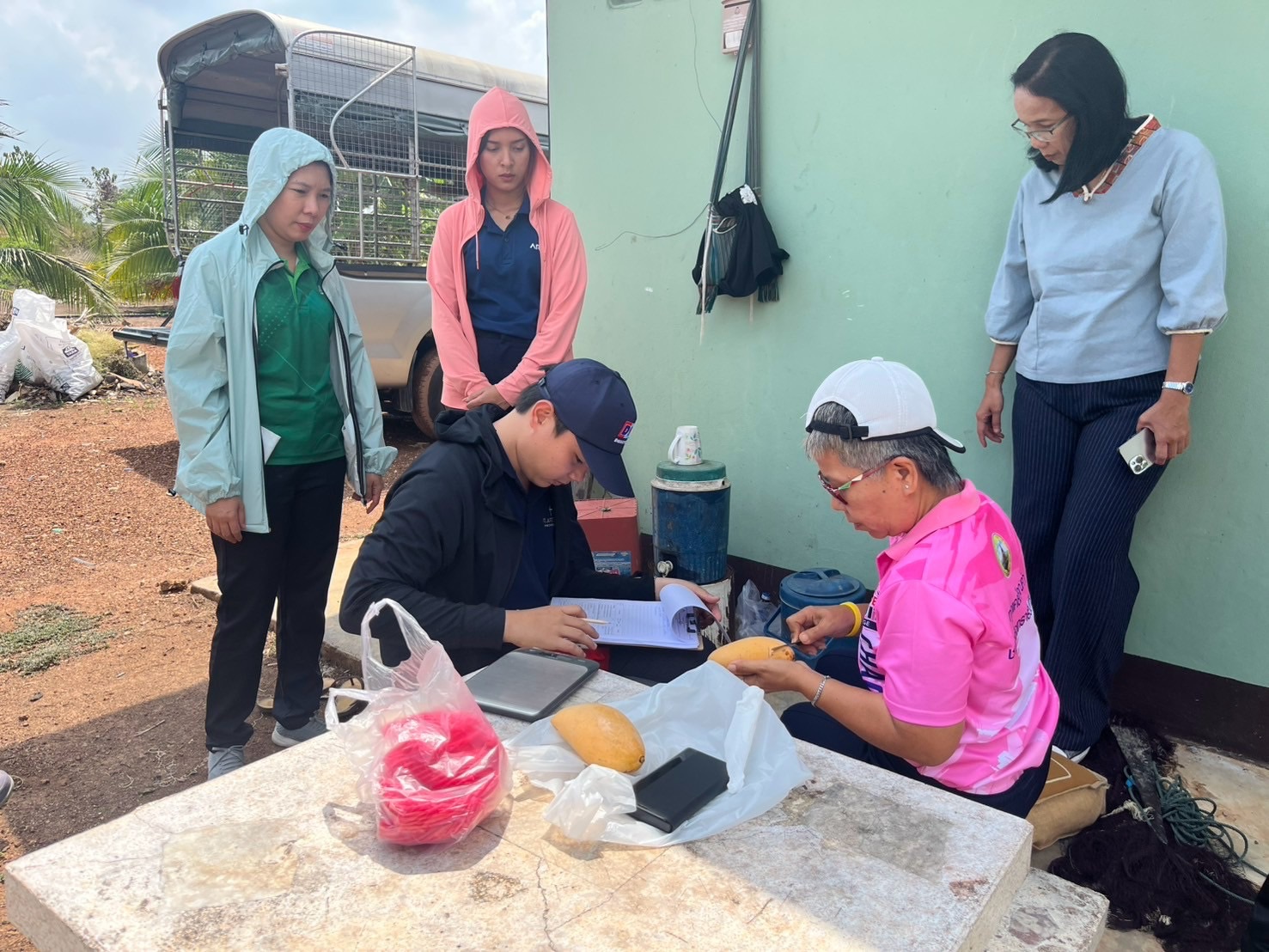 🎡พช.ฉะเชิงเทรา ร่วมลงพื้นที่ตรวจประเมินตามระบบควบคุมคุณภาพสินค้าสิ่งบ่งชี้ทางภูมิศาสตร์ “มะม่วงน้ำดอกไม้สีทองบางคล้า”