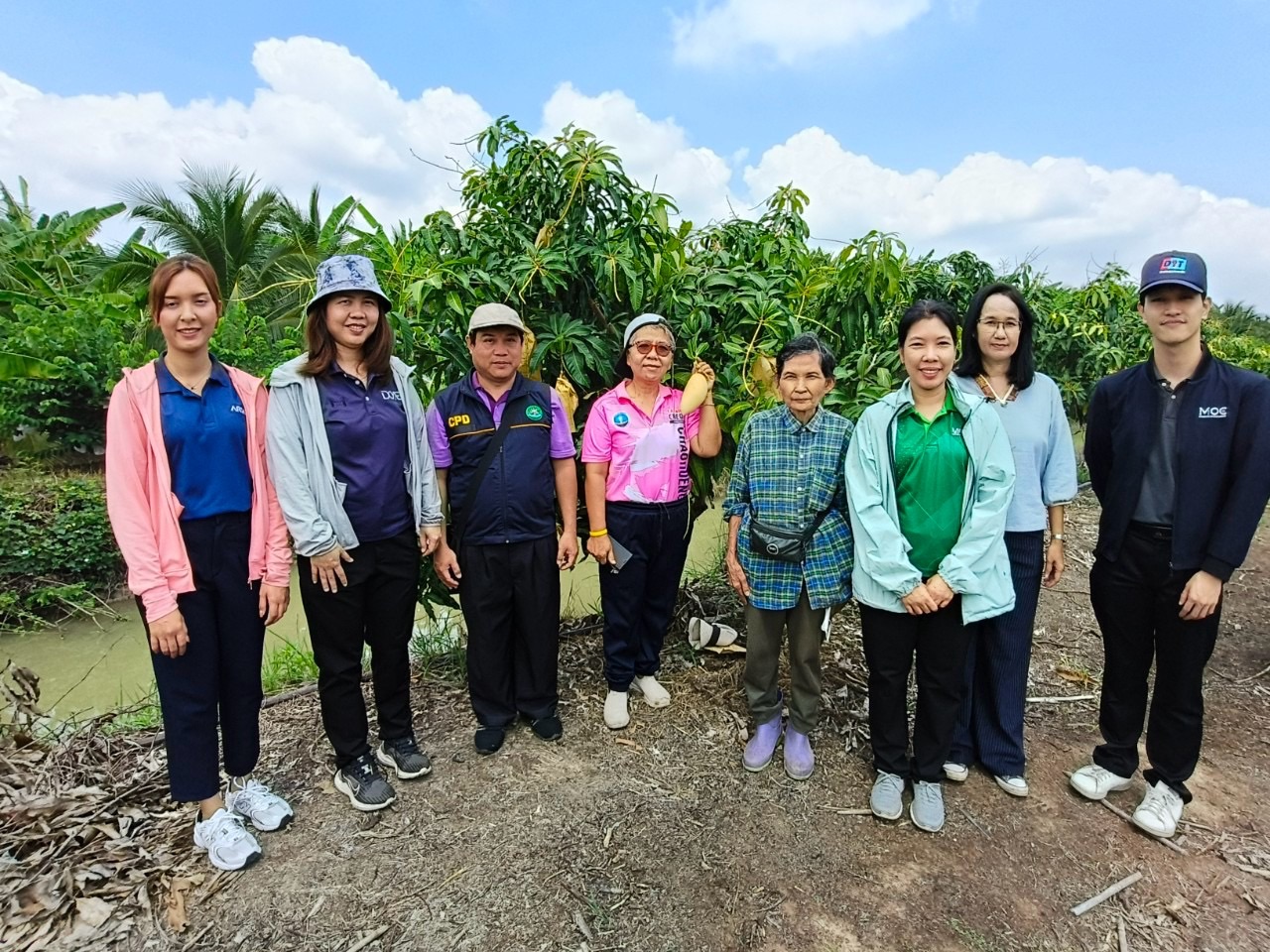 🎡พช.ฉะเชิงเทรา ร่วมลงพื้นที่ตรวจประเมินตามระบบควบคุมคุณภาพสินค้าสิ่งบ่งชี้ทางภูมิศาสตร์ “มะม่วงน้ำดอกไม้สีทองบางคล้า”