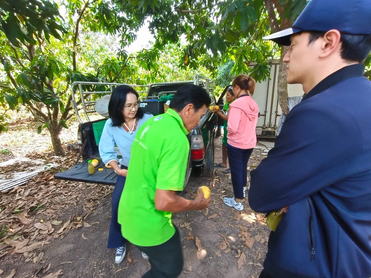 🎡พช.ฉะเชิงเทรา ร่วมลงพื้นที่ตรวจประเมินตามระบบควบคุมคุณภาพสินค้าสิ่งบ่งชี้ทางภูมิศาสตร์ “มะม่วงน้ำดอกไม้สีทองบางคล้า”