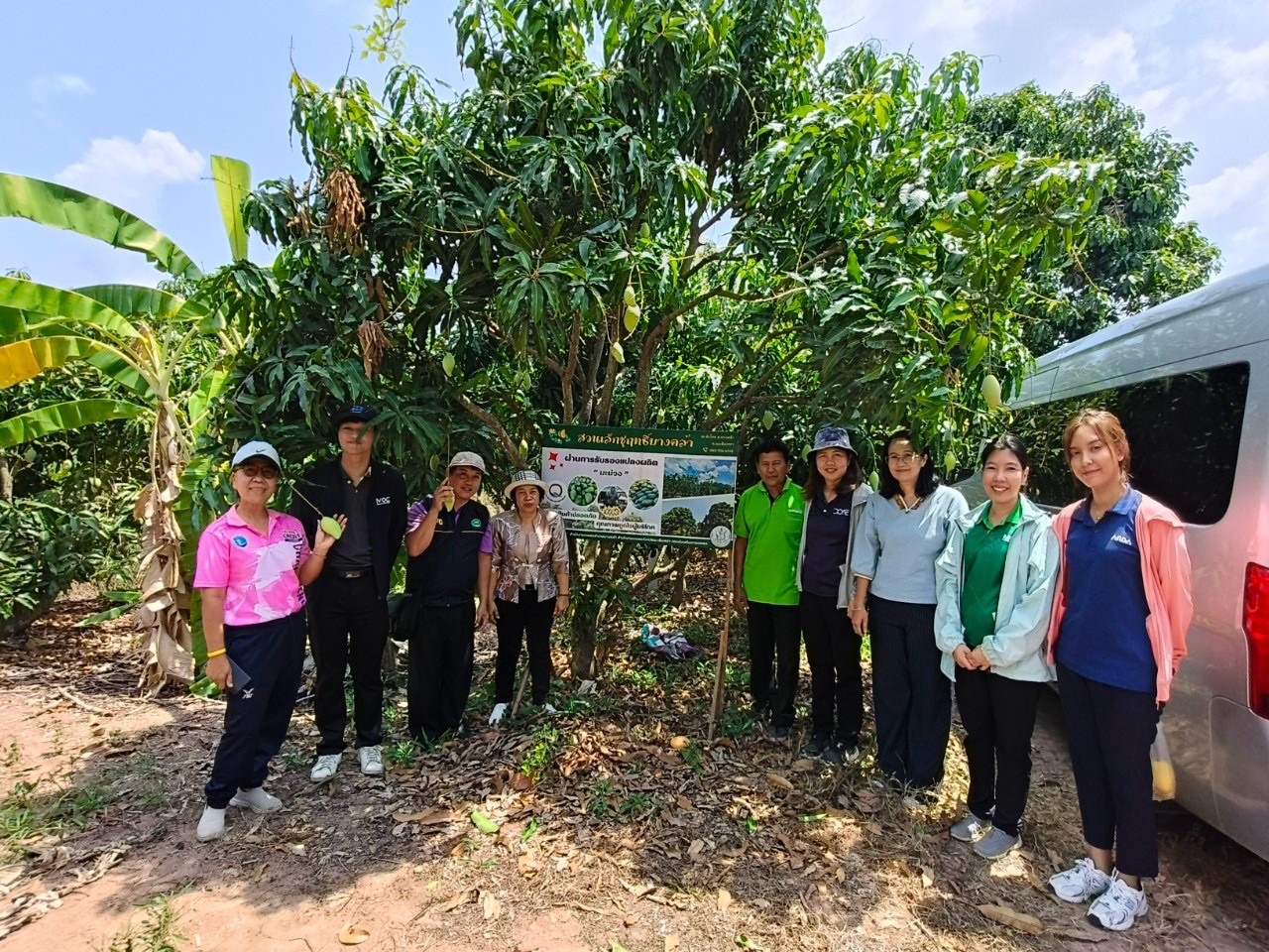 🎡พช.ฉะเชิงเทรา ร่วมลงพื้นที่ตรวจประเมินตามระบบควบคุมคุณภาพสินค้าสิ่งบ่งชี้ทางภูมิศาสตร์ “มะม่วงน้ำดอกไม้สีทองบางคล้า”
