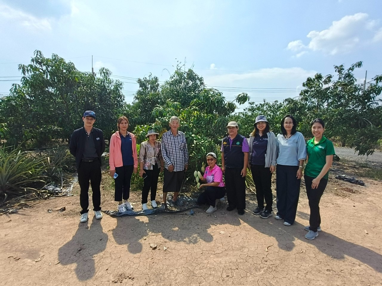 🎡พช.ฉะเชิงเทรา ร่วมลงพื้นที่ตรวจประเมินตามระบบควบคุมคุณภาพสินค้าสิ่งบ่งชี้ทางภูมิศาสตร์ “มะม่วงน้ำดอกไม้สีทองบางคล้า”