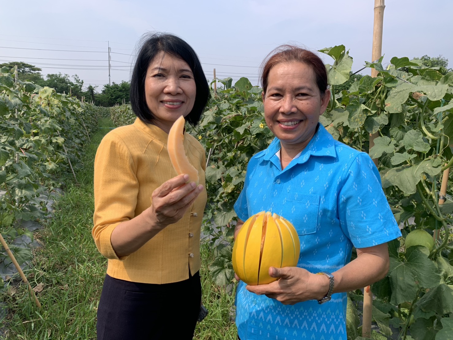 🍈พช.ฉะเชิงเทรา ร่วมกับกรมการพัฒนาชุมชนถอดองค์ความรู้ตามโครงการ 9 : 10 ปฏิบัติบูชา “สืบสาน รักษา ต่อยอด” เพื่อพัฒนาชุมชน ณ บ้านปลายคลอง 18
