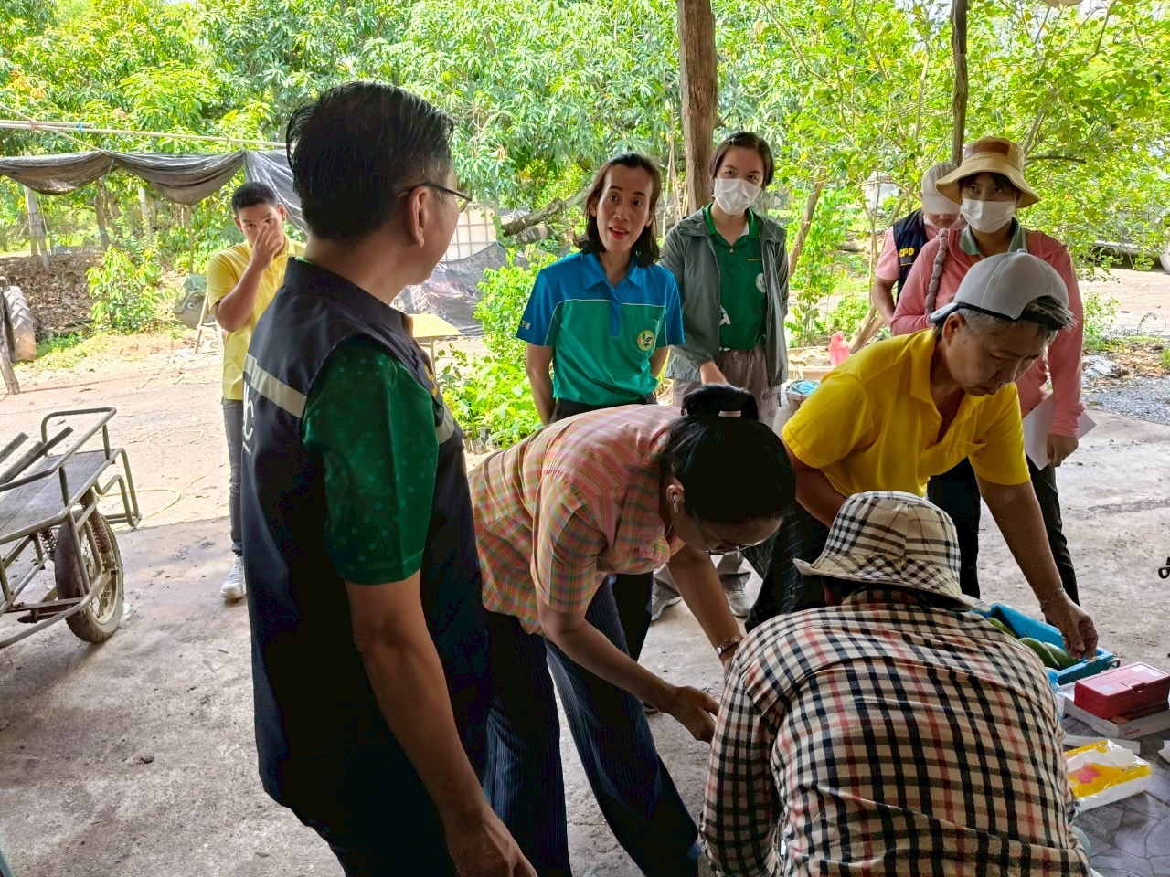 🎡พช.ฉะเชิงเทรา ร่วมลงพื้นที่ตรวจประเมินตามระบบควบคุมคุณภาพสินค้าสิ่งบ่งชี้ทางภูมิศาสตร์ ”มะม่วงเขียวเสวยแปดริ้ว มะม่วงขายตึกแปดริ้ว และมะม่วงแรดแปดริ้ว”