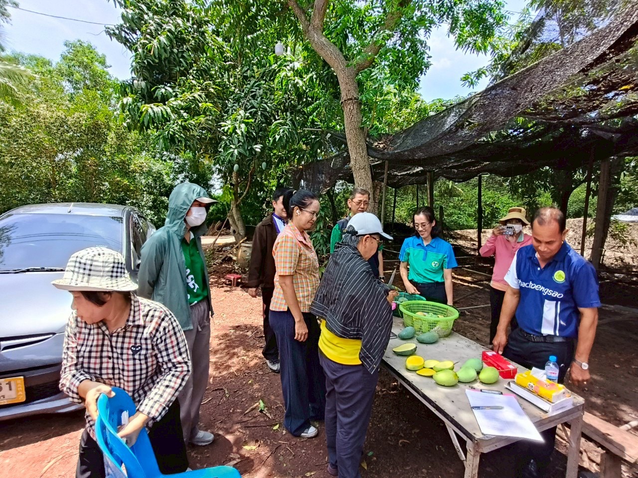 🎡พช.ฉะเชิงเทรา ร่วมลงพื้นที่ตรวจประเมินตามระบบควบคุมคุณภาพสินค้าสิ่งบ่งชี้ทางภูมิศาสตร์ ”มะม่วงเขียวเสวยแปดริ้ว มะม่วงขายตึกแปดริ้ว และมะม่วงแรดแปดริ้ว”