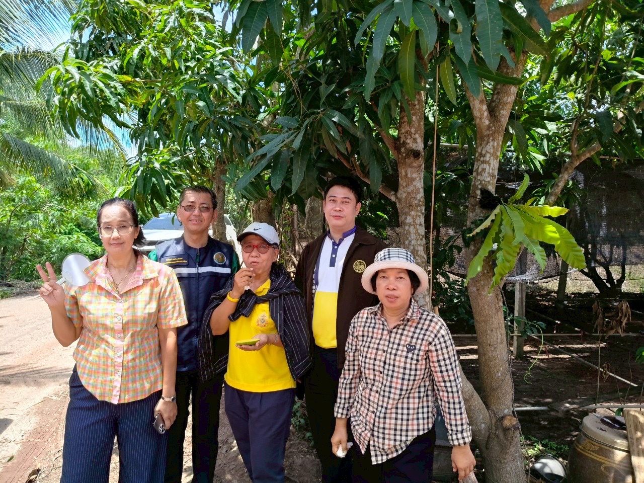 🎡พช.ฉะเชิงเทรา ร่วมลงพื้นที่ตรวจประเมินตามระบบควบคุมคุณภาพสินค้าสิ่งบ่งชี้ทางภูมิศาสตร์ ”มะม่วงเขียวเสวยแปดริ้ว มะม่วงขายตึกแปดริ้ว และมะม่วงแรดแปดริ้ว”