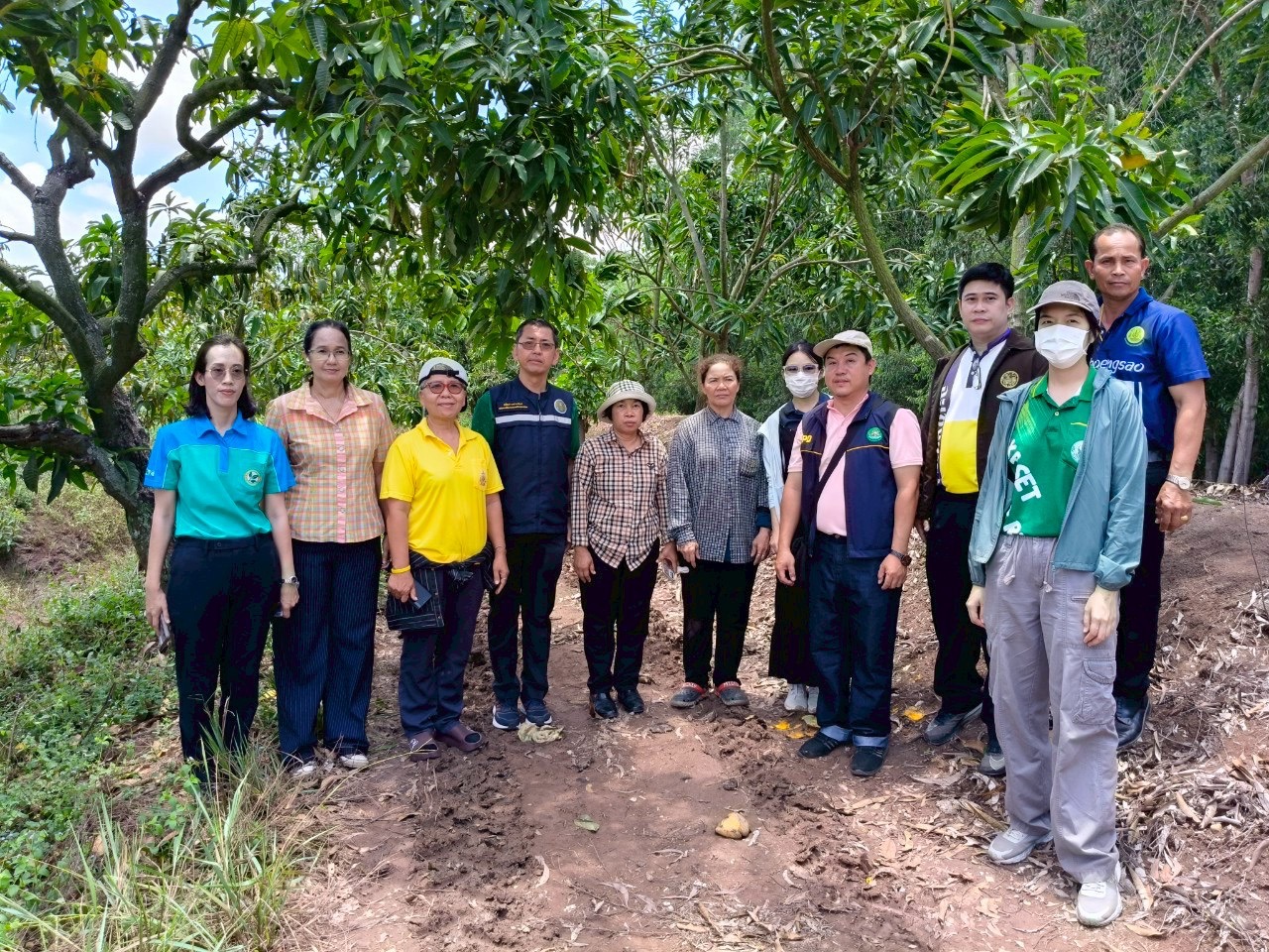 🎡พช.ฉะเชิงเทรา ร่วมลงพื้นที่ตรวจประเมินตามระบบควบคุมคุณภาพสินค้าสิ่งบ่งชี้ทางภูมิศาสตร์ ”มะม่วงเขียวเสวยแปดริ้ว มะม่วงขายตึกแปดริ้ว และมะม่วงแรดแปดริ้ว”