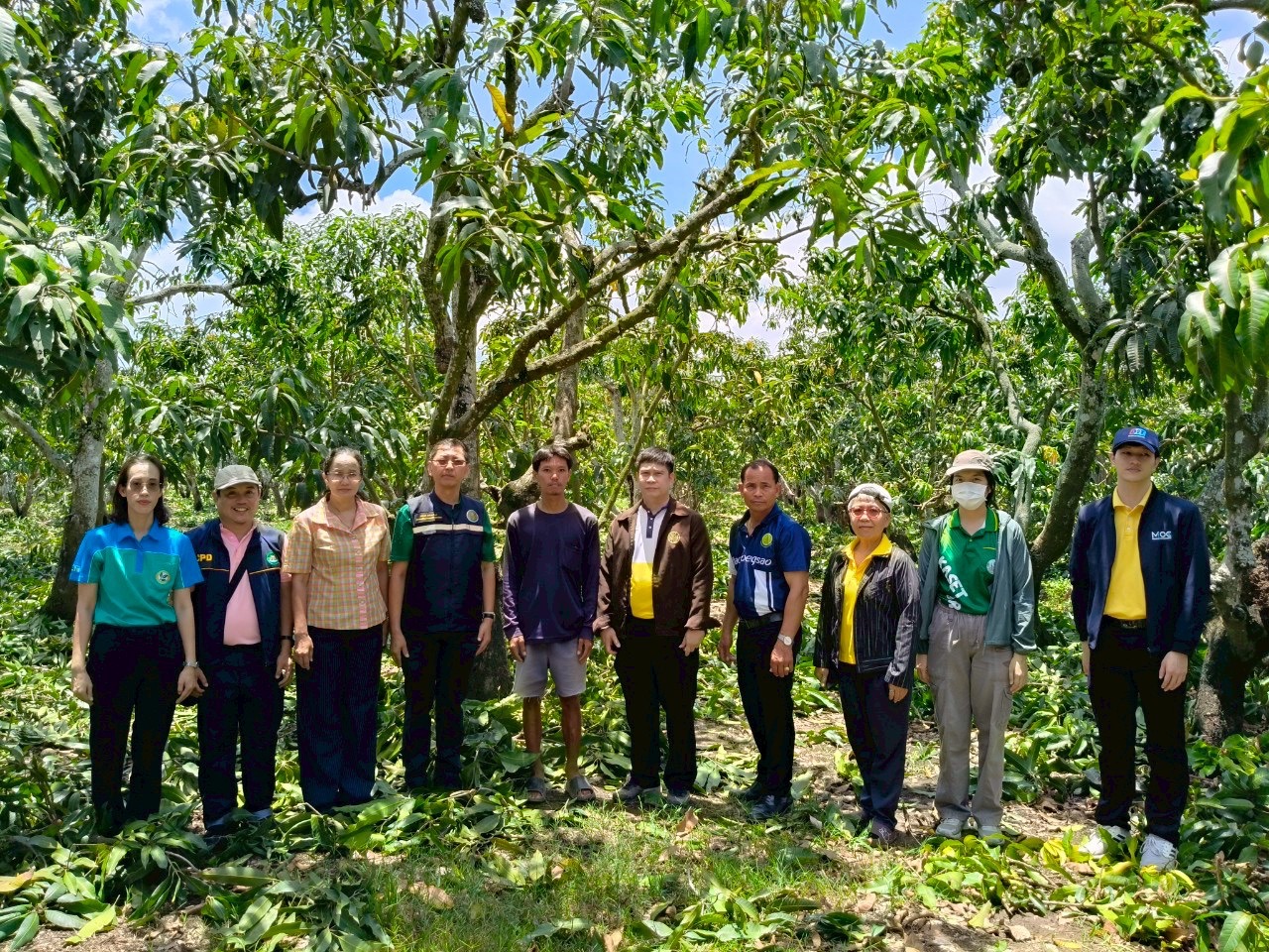 🎡พช.ฉะเชิงเทรา ร่วมลงพื้นที่ตรวจประเมินตามระบบควบคุมคุณภาพสินค้าสิ่งบ่งชี้ทางภูมิศาสตร์ ”มะม่วงเขียวเสวยแปดริ้ว มะม่วงขายตึกแปดริ้ว และมะม่วงแรดแปดริ้ว”