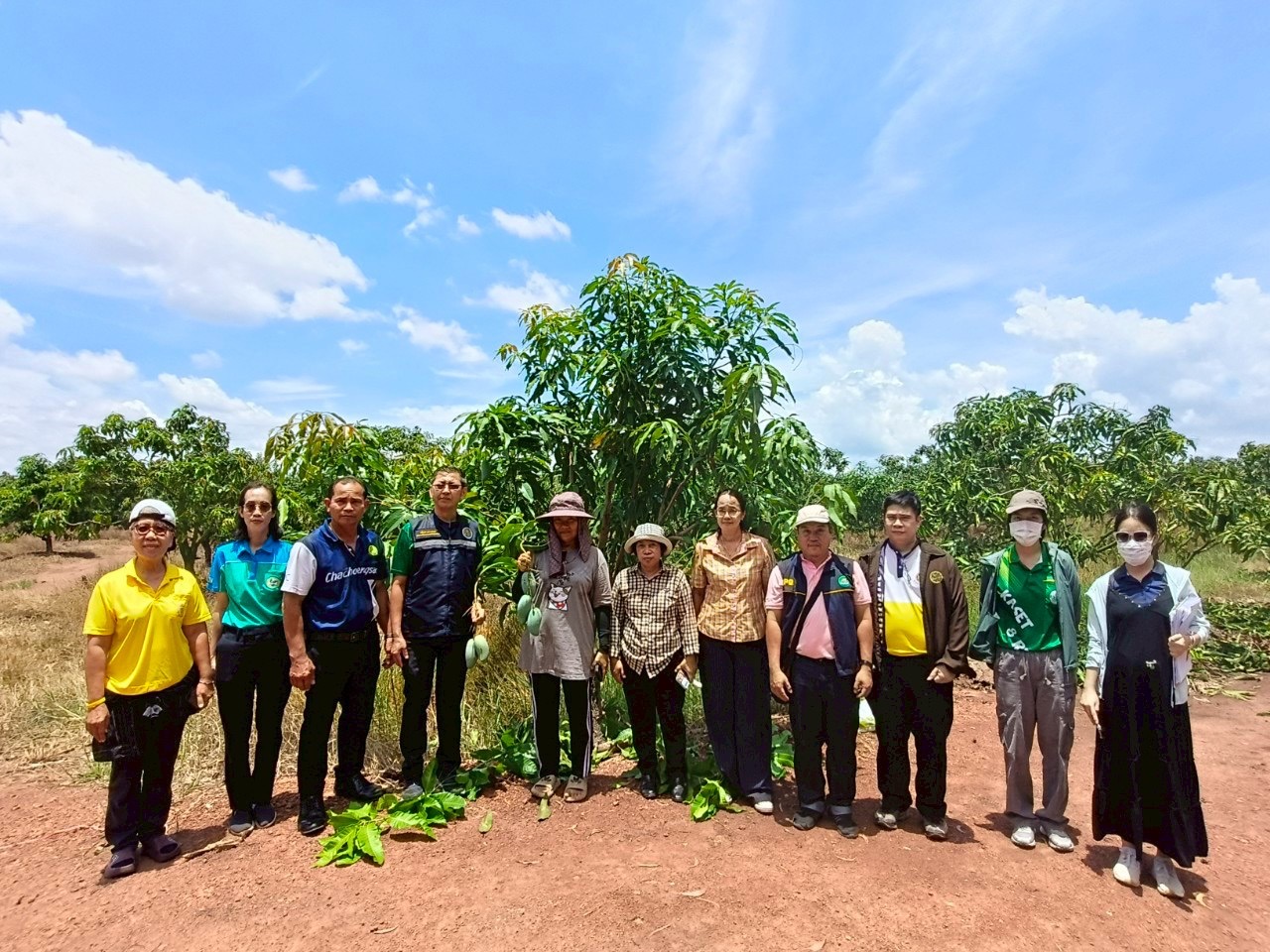 🎡พช.ฉะเชิงเทรา ร่วมลงพื้นที่ตรวจประเมินตามระบบควบคุมคุณภาพสินค้าสิ่งบ่งชี้ทางภูมิศาสตร์ ”มะม่วงเขียวเสวยแปดริ้ว มะม่วงขายตึกแปดริ้ว และมะม่วงแรดแปดริ้ว”