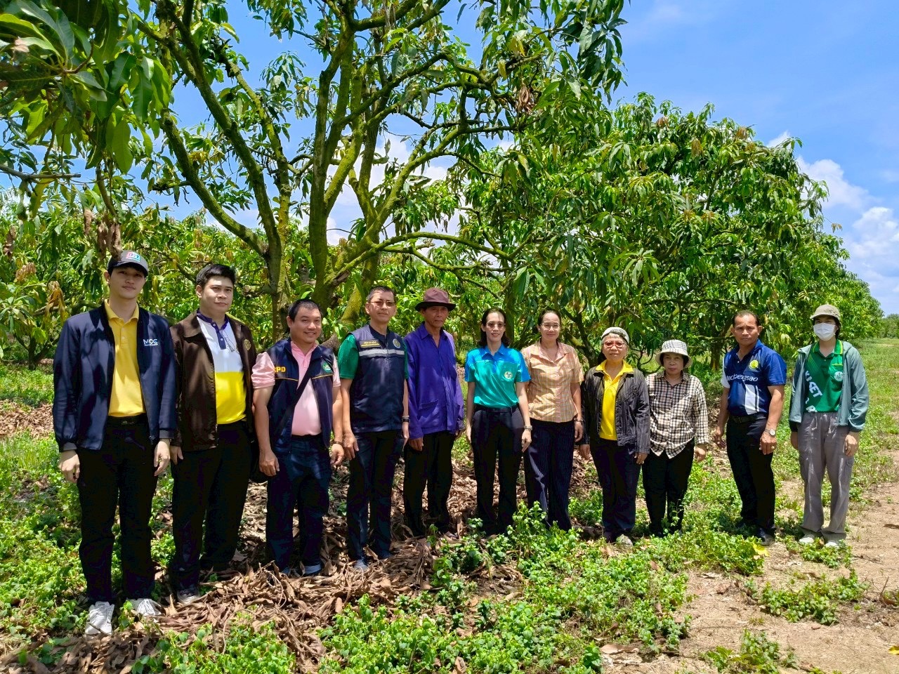 🎡พช.ฉะเชิงเทรา ร่วมลงพื้นที่ตรวจประเมินตามระบบควบคุมคุณภาพสินค้าสิ่งบ่งชี้ทางภูมิศาสตร์ ”มะม่วงเขียวเสวยแปดริ้ว มะม่วงขายตึกแปดริ้ว และมะม่วงแรดแปดริ้ว”