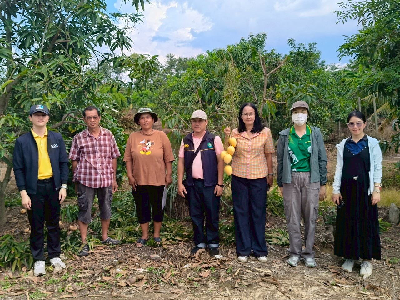 🎡พช.ฉะเชิงเทรา ร่วมลงพื้นที่ตรวจประเมินตามระบบควบคุมคุณภาพสินค้าสิ่งบ่งชี้ทางภูมิศาสตร์ ”มะม่วงเขียวเสวยแปดริ้ว มะม่วงขายตึกแปดริ้ว และมะม่วงแรดแปดริ้ว”