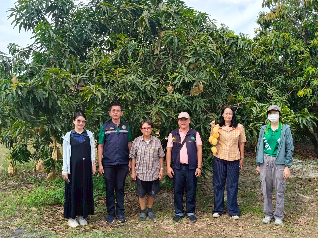 🎡พช.ฉะเชิงเทรา ร่วมลงพื้นที่ตรวจประเมินตามระบบควบคุมคุณภาพสินค้าสิ่งบ่งชี้ทางภูมิศาสตร์ ”มะม่วงเขียวเสวยแปดริ้ว มะม่วงขายตึกแปดริ้ว และมะม่วงแรดแปดริ้ว”