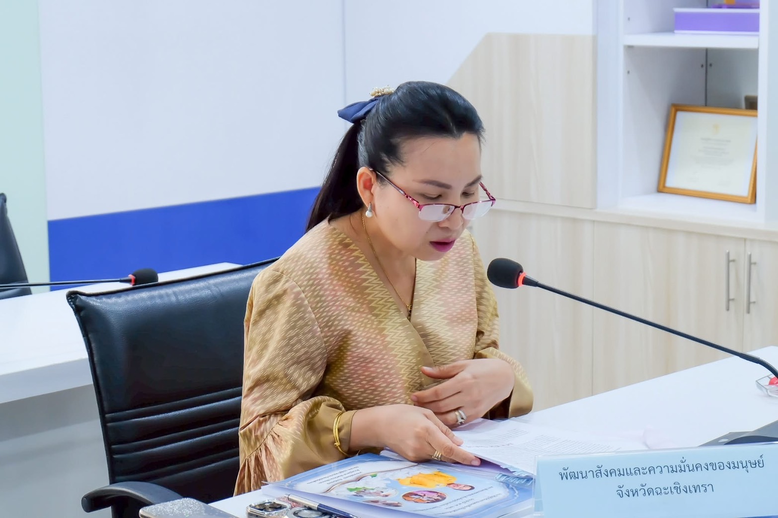 ร่วมประชุมคณะกรรมการคัดเลือกแม่ดีเด่นแห่งชาติประจำจังหวัดฉะเชิงเทรา ประจำปี ๒๕๖๘