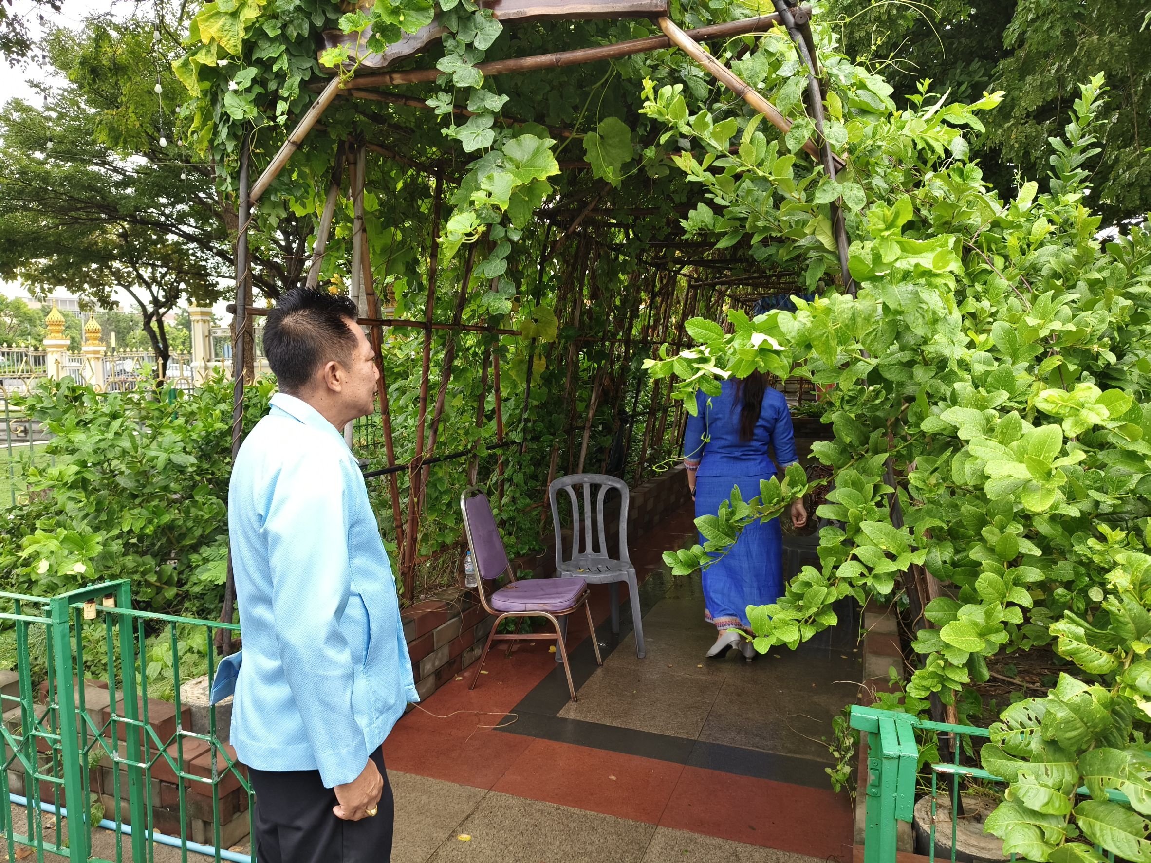 พช.ฉะเชิงเทรา ลงพื้นที่แปลงผัก “วัดนี้มีรัก ปลูกผักแบ่งปัน” วัดโสธรวรารามวรวิหาร สำรวจความเรียบร้อย ส่งเสริมความมั่นคงทางอาหารในชุมชน 🥬🤝🌱