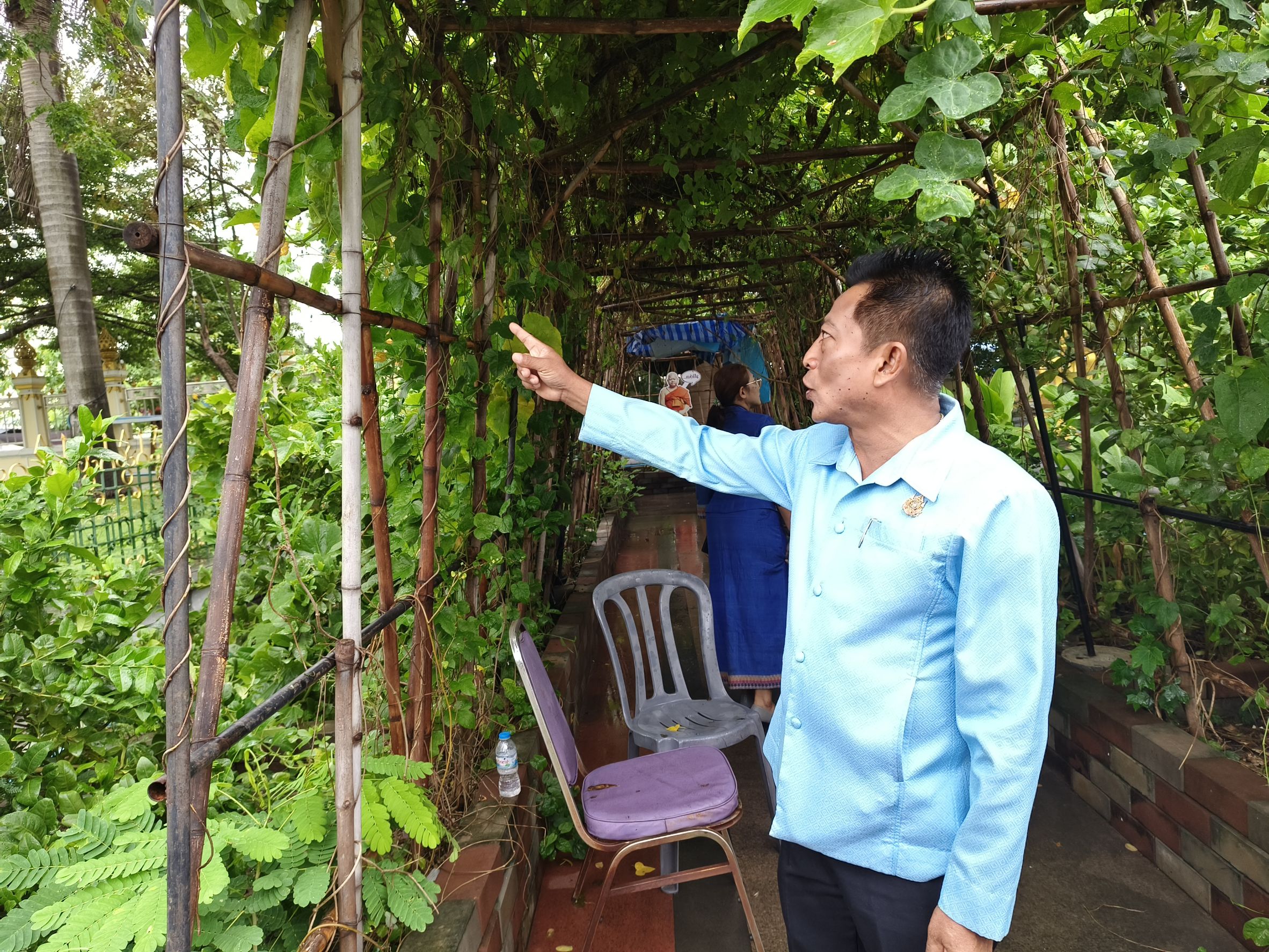 พช.ฉะเชิงเทรา ลงพื้นที่แปลงผัก “วัดนี้มีรัก ปลูกผักแบ่งปัน” วัดโสธรวรารามวรวิหาร สำรวจความเรียบร้อย ส่งเสริมความมั่นคงทางอาหารในชุมชน 🥬🤝🌱