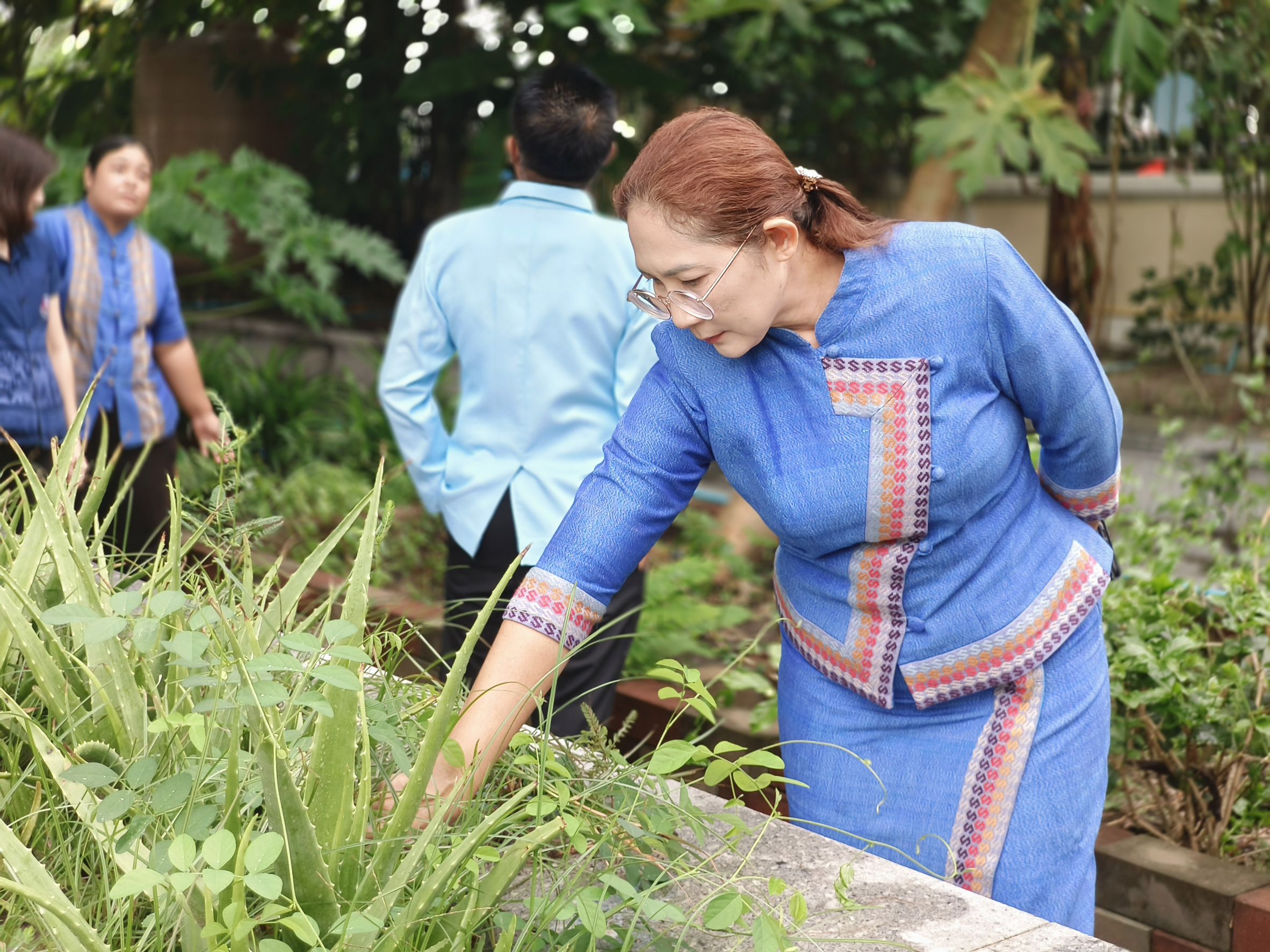 พช.ฉะเชิงเทรา ลงพื้นที่แปลงผัก “วัดนี้มีรัก ปลูกผักแบ่งปัน” วัดโสธรวรารามวรวิหาร สำรวจความเรียบร้อย ส่งเสริมความมั่นคงทางอาหารในชุมชน 🥬🤝🌱