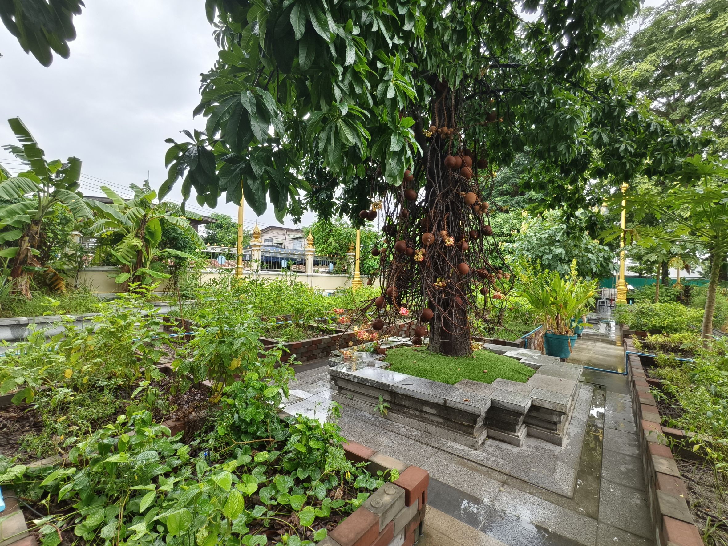 พช.ฉะเชิงเทรา ลงพื้นที่แปลงผัก “วัดนี้มีรัก ปลูกผักแบ่งปัน” วัดโสธรวรารามวรวิหาร สำรวจความเรียบร้อย ส่งเสริมความมั่นคงทางอาหารในชุมชน 🥬🤝🌱