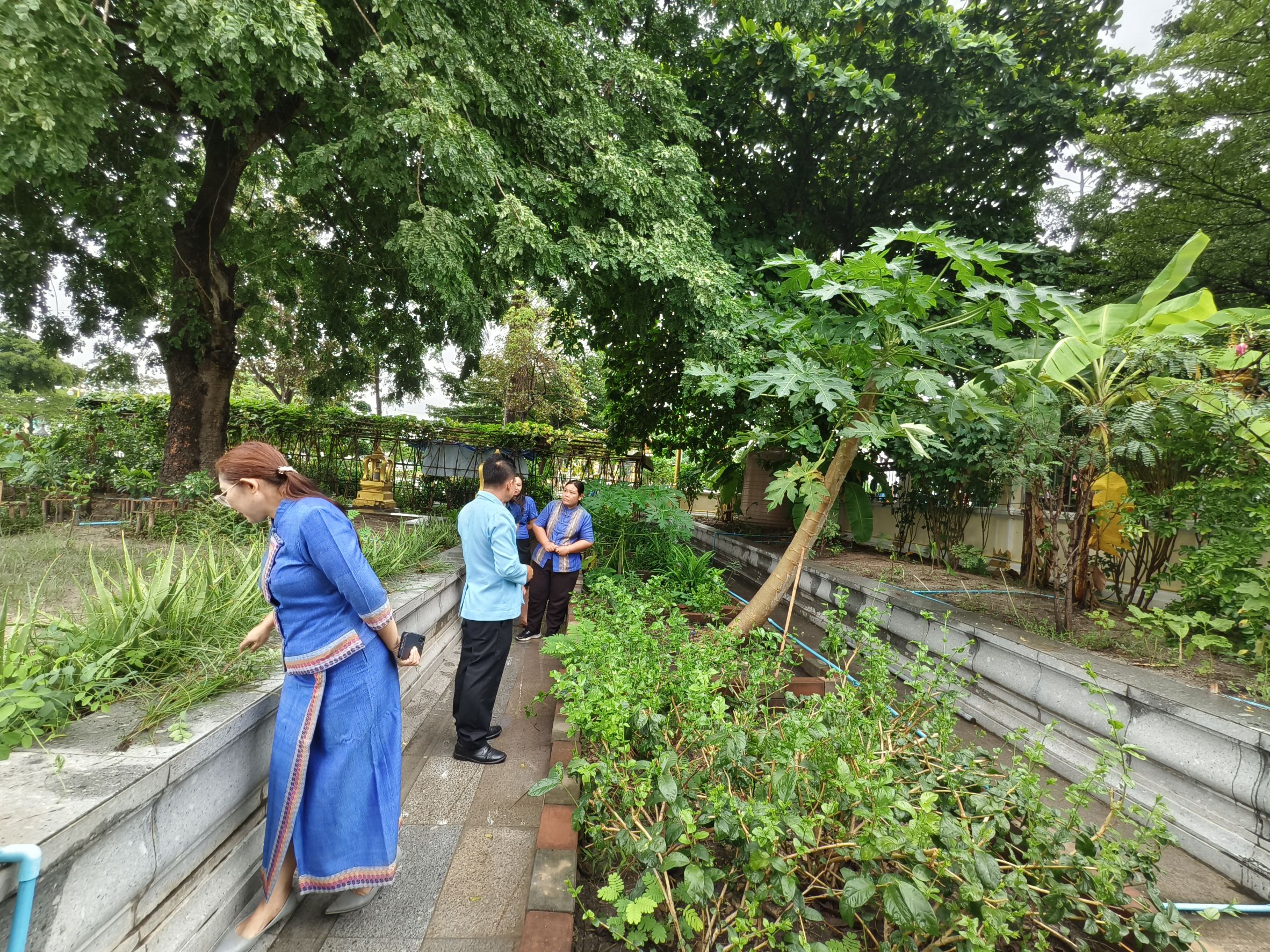 พช.ฉะเชิงเทรา ลงพื้นที่แปลงผัก “วัดนี้มีรัก ปลูกผักแบ่งปัน” วัดโสธรวรารามวรวิหาร สำรวจความเรียบร้อย ส่งเสริมความมั่นคงทางอาหารในชุมชน 🥬🤝🌱