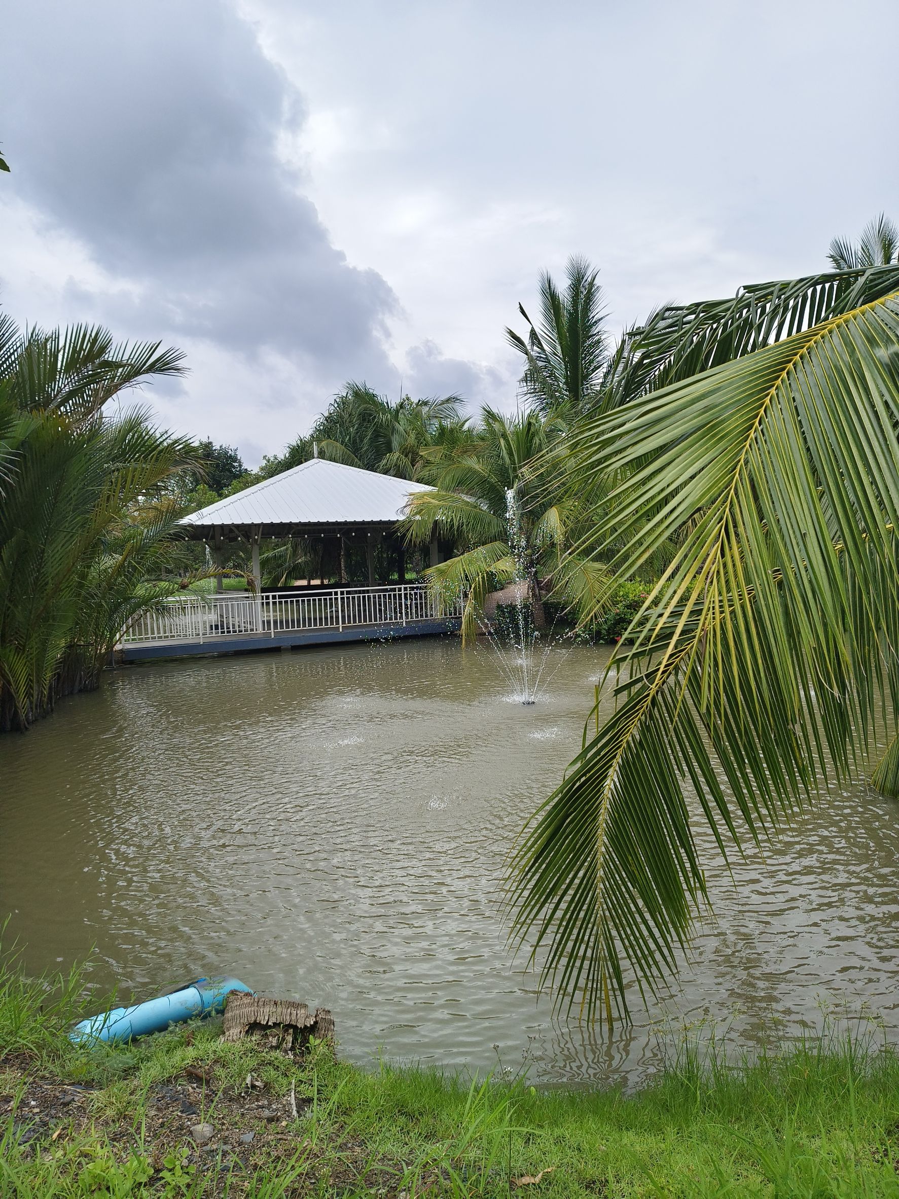 “พช.ฉะเชิงเทรา ขับเคลื่อนโครงการส่งเสริมสัมมาชีพแก่เยาวชนกลุ่มเสี่ยง คืนคนดีสู่สังคม” 💼🌱