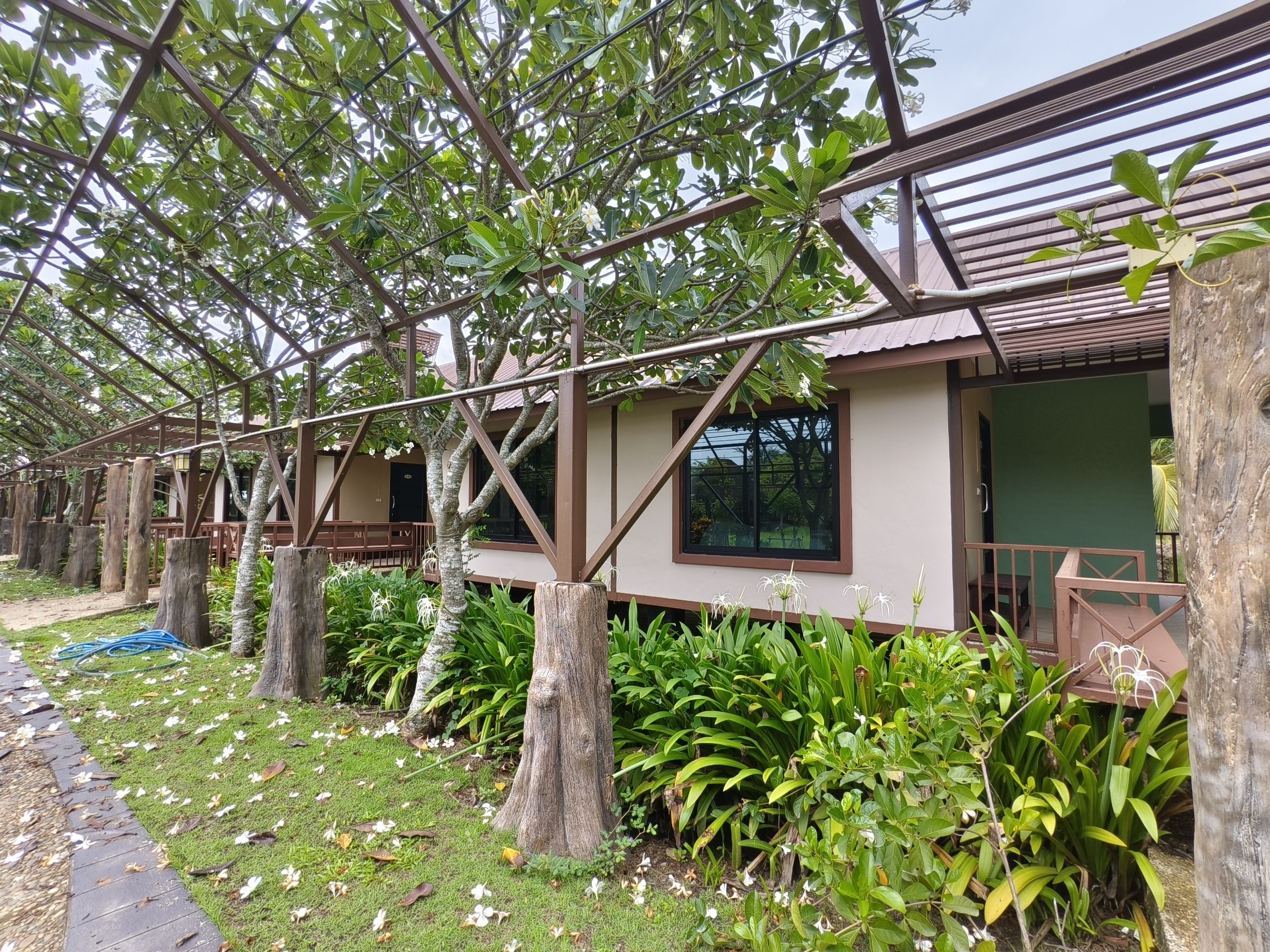 “พช.ฉะเชิงเทรา ขับเคลื่อนโครงการส่งเสริมสัมมาชีพแก่เยาวชนกลุ่มเสี่ยง คืนคนดีสู่สังคม” 💼🌱