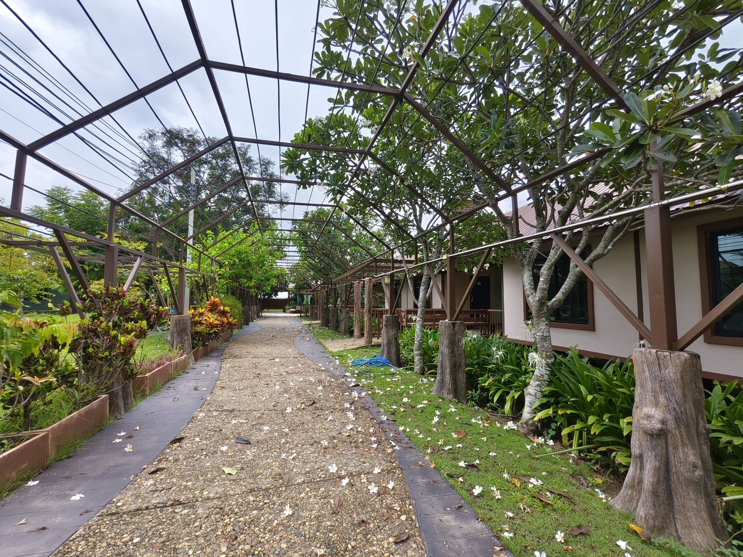 “พช.ฉะเชิงเทรา ขับเคลื่อนโครงการส่งเสริมสัมมาชีพแก่เยาวชนกลุ่มเสี่ยง คืนคนดีสู่สังคม” 💼🌱