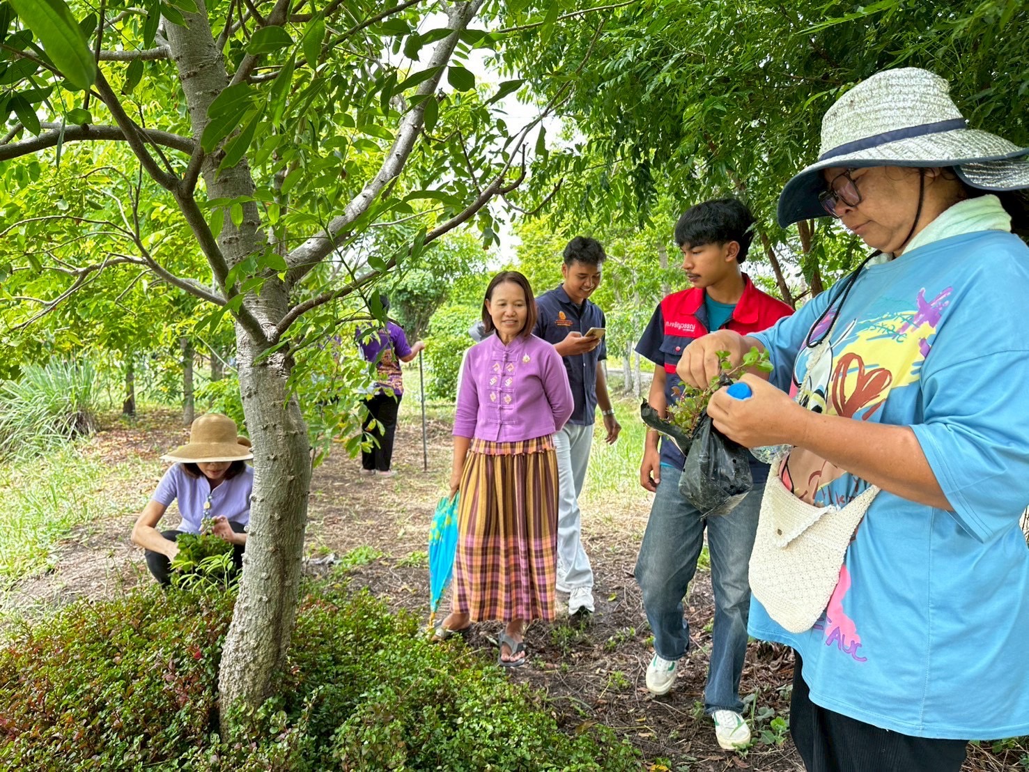 🪴📝พช.ฉะเชิงเทรา ดำเนินโครงการขยายผลการจัดทำแปลงอนุรักษ์พันธุกรรมพืช
