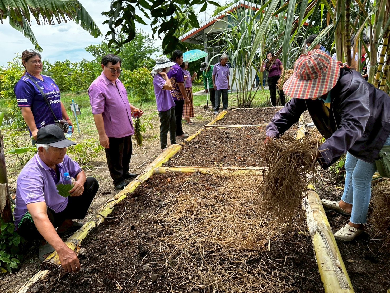 🪴📝พช.ฉะเชิงเทรา ดำเนินโครงการขยายผลการจัดทำแปลงอนุรักษ์พันธุกรรมพืช