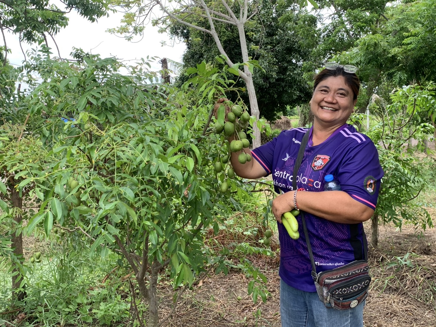 🪴📝พช.ฉะเชิงเทรา ดำเนินโครงการขยายผลการจัดทำแปลงอนุรักษ์พันธุกรรมพืช