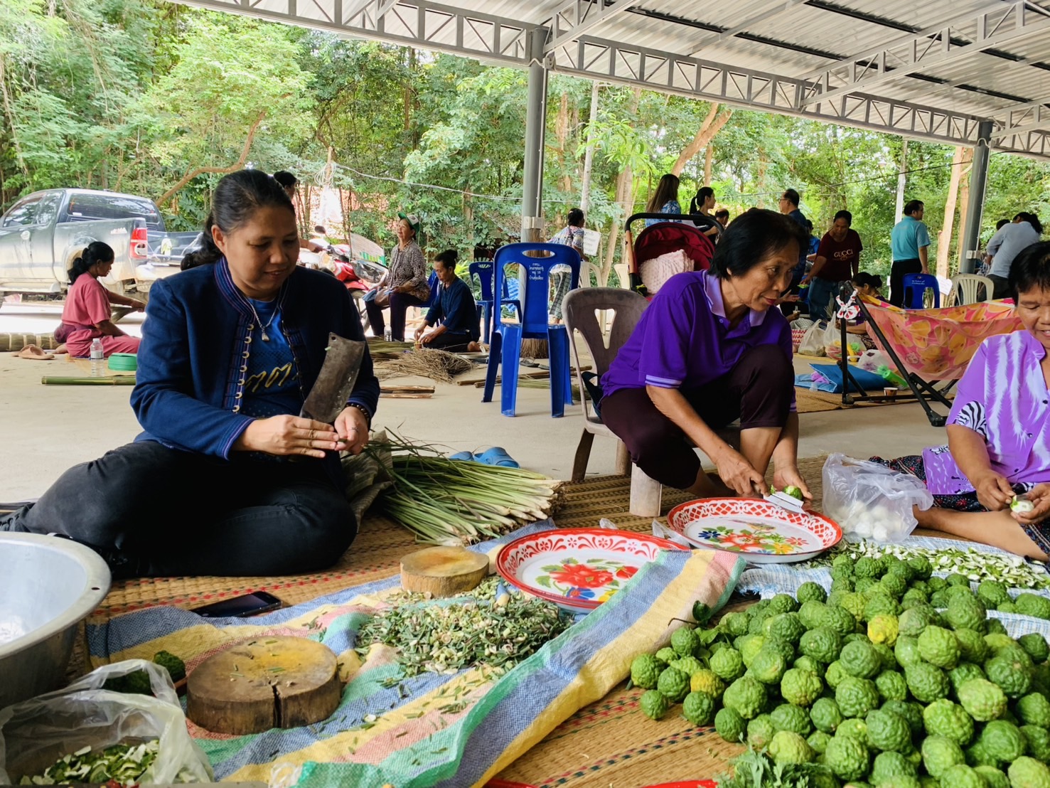 🐘พช.ฉะเชิงเทรา  สนับสนุนการดำเนินโครงการส่งเสริมกลุ่มอาชีพหมู่บ้านคนรักษ์ช้างจังหวัดฉะเชิงเทรา ณ อำเภอสนามชัยเขต