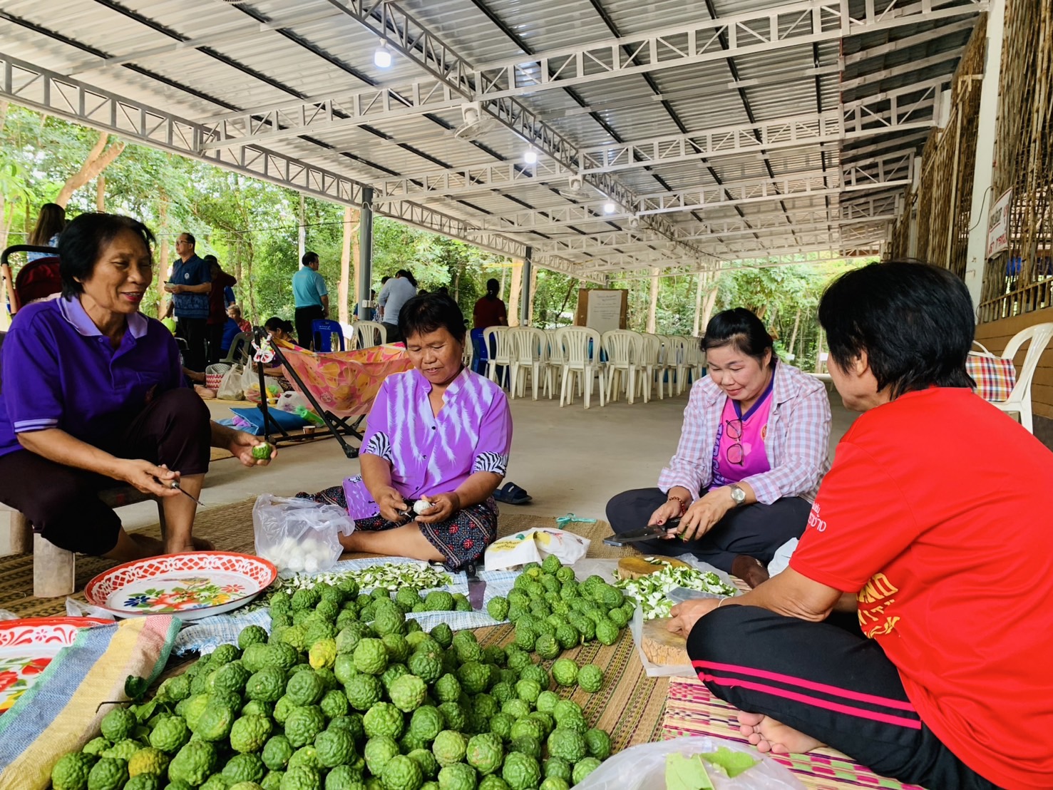 🐘พช.ฉะเชิงเทรา  สนับสนุนการดำเนินโครงการส่งเสริมกลุ่มอาชีพหมู่บ้านคนรักษ์ช้างจังหวัดฉะเชิงเทรา ณ อำเภอสนามชัยเขต